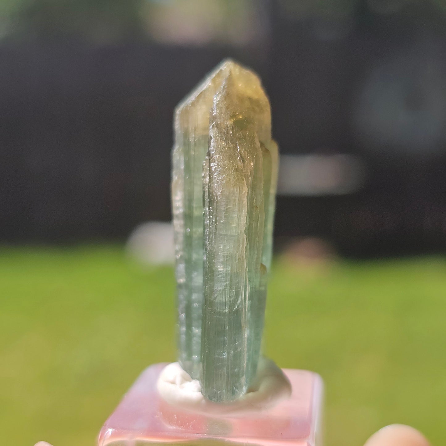 6.8g Tourmaline Crystal from Brazil, Blue Indicolite w Yellow Cap, Tabby Terminated Rare Bicolor, Raw Tabular Elbaite, Collector Gemstone