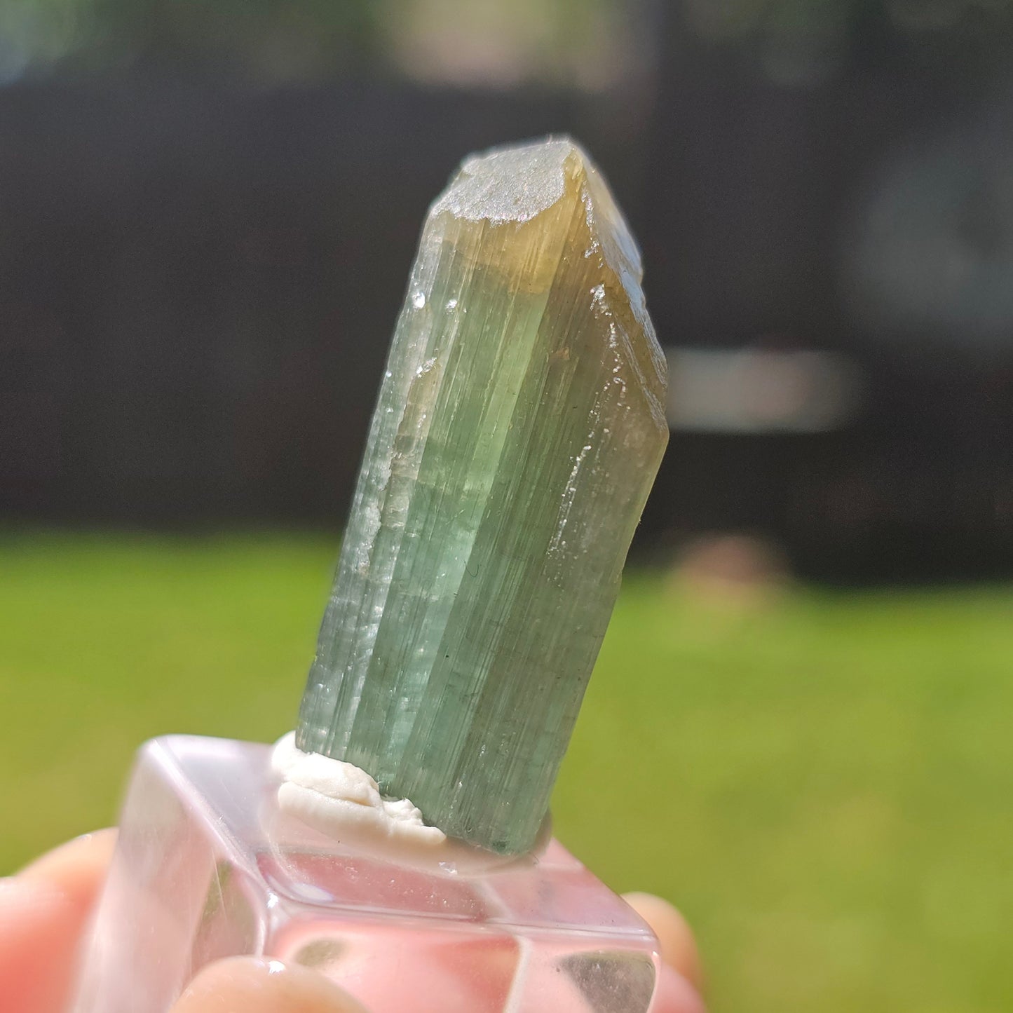 6.8g Tourmaline Crystal from Brazil, Blue Indicolite w Yellow Cap, Tabby Terminated Rare Bicolor, Raw Tabular Elbaite, Collector Gemstone
