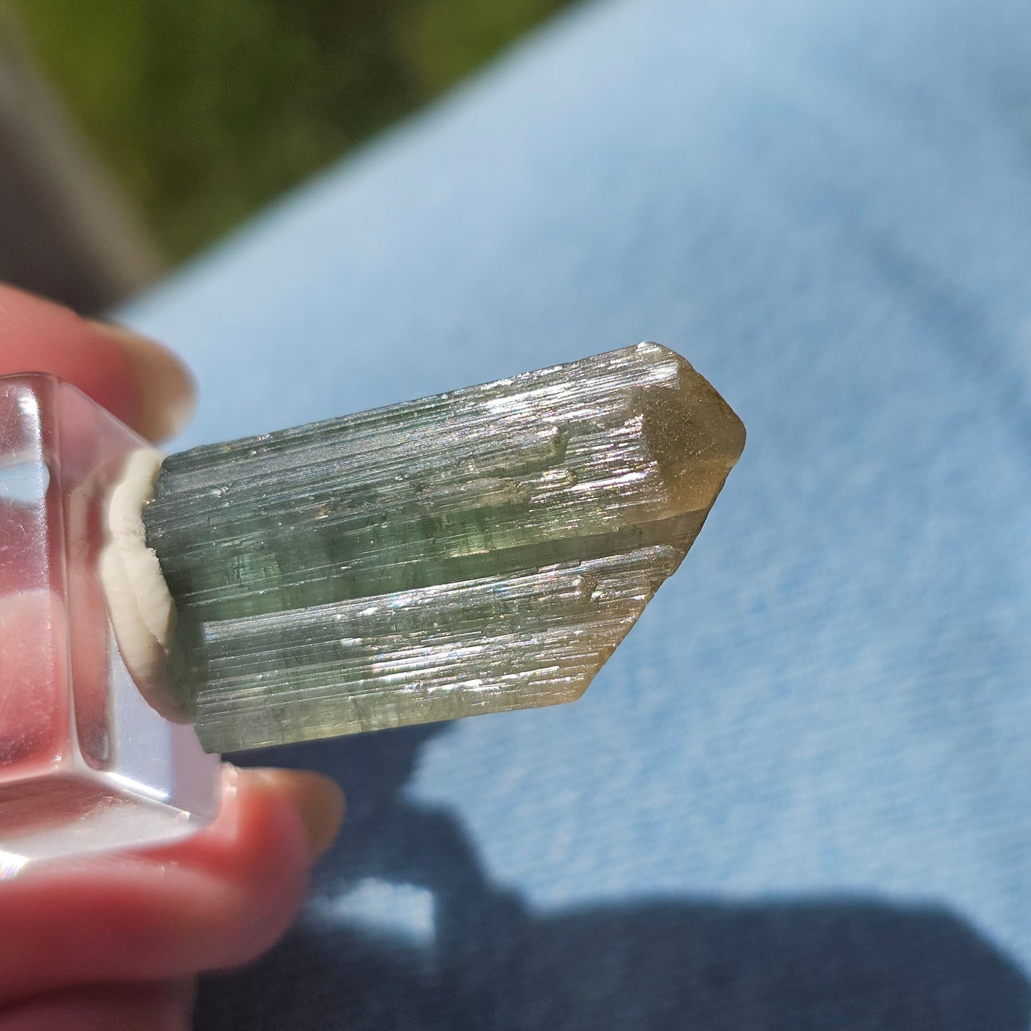 6.8g Tourmaline Crystal from Brazil, Blue Indicolite w Yellow Cap, Tabby Terminated Rare Bicolor, Raw Tabular Elbaite, Collector Gemstone
