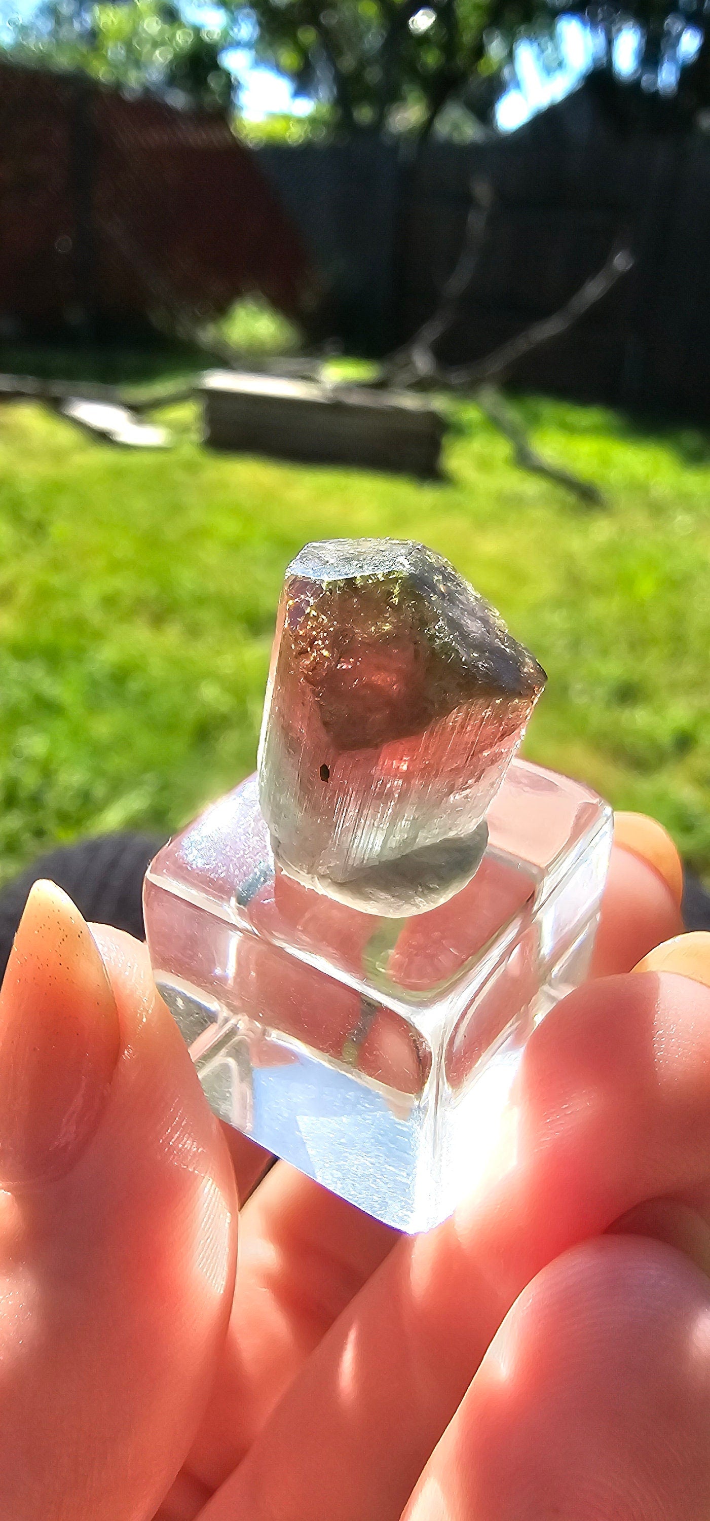 3.6g Tourmaline Crystal, Rough Raw Elbaite, Multicolored Blue, Red, Green, Lipstick tourmaline, Terminated Rare Collector Gemstone, Aricanga