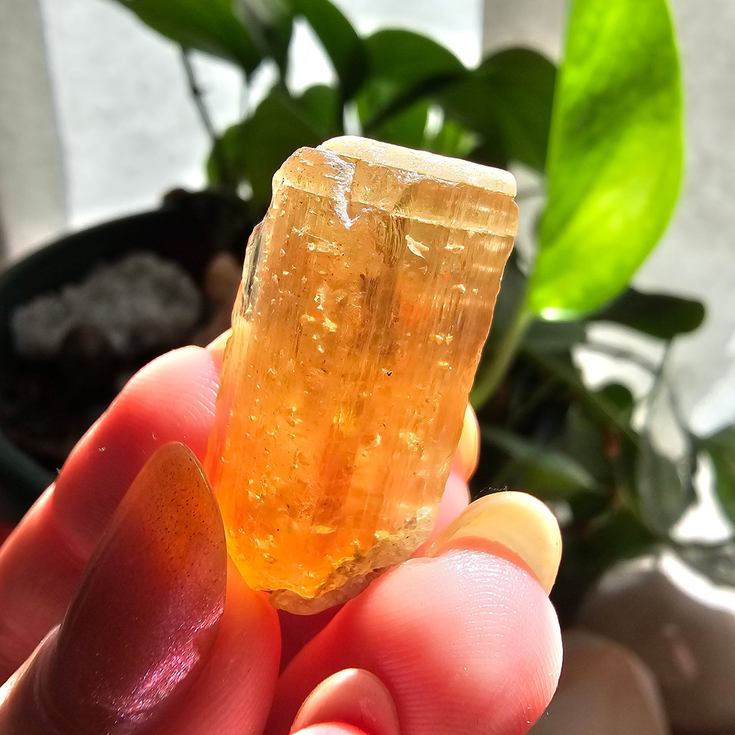 Large Imperial Topaz Gem, Ouro Preto Brazil, 50ct, Old Stock, Rare Orange, Terminated Crystal, Saturated Color, Good Luster, November Stone