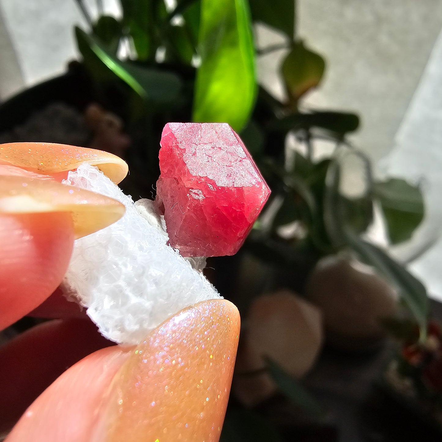 Raspberry Garnet Crystal 19ct | Raw Rare, No Matrix, Collector Rosolite Gemstone | Hot Pink Red Grossular, Sierra de Cruces, Coahuila Mexico