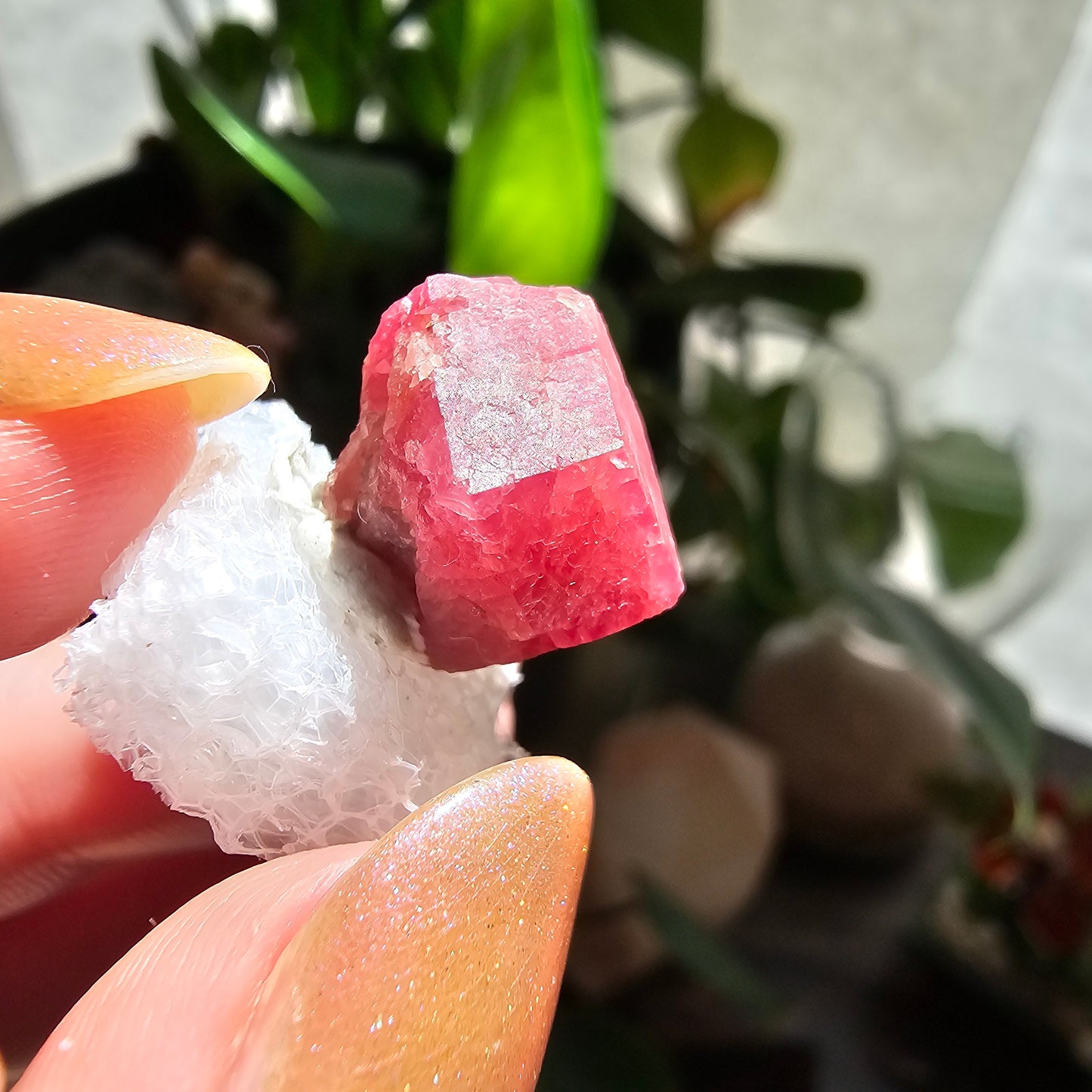 Raspberry Garnet Crystal 19ct | Raw Rare, No Matrix, Collector Rosolite Gemstone | Hot Pink Red Grossular, Sierra de Cruces, Coahuila Mexico