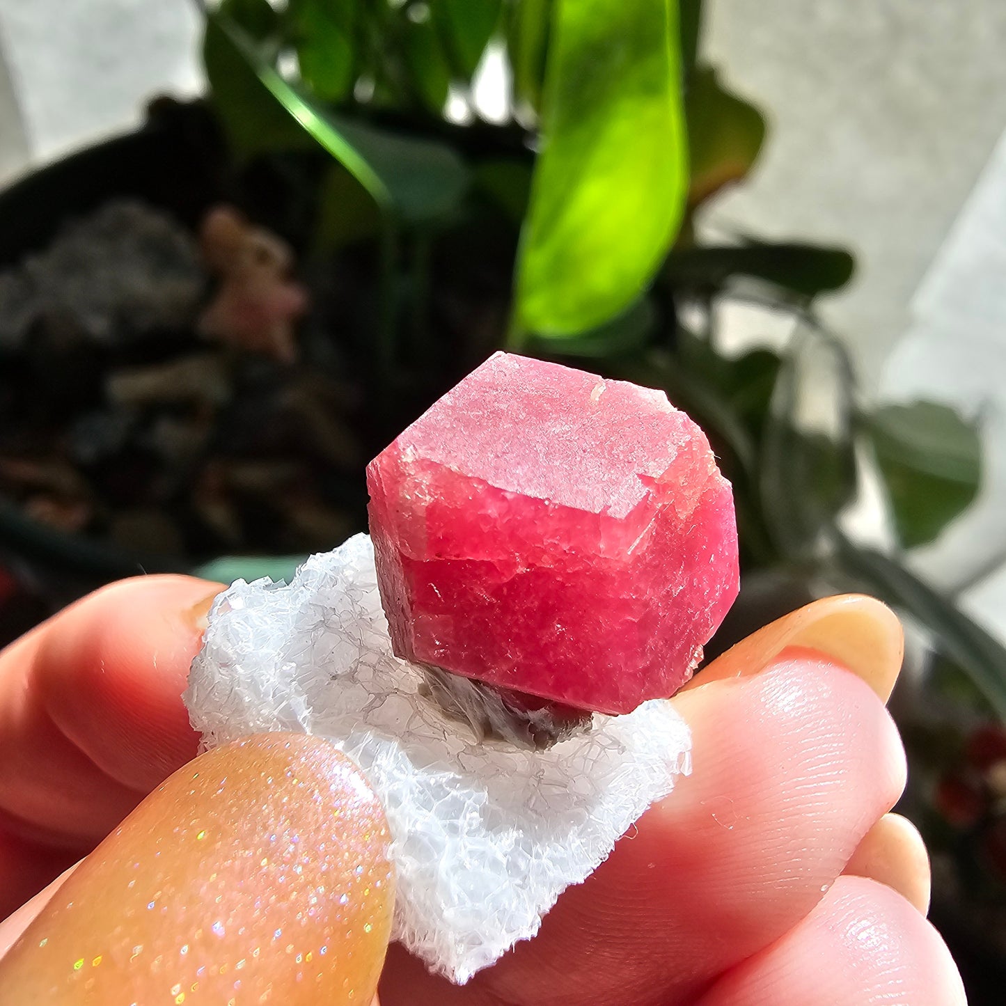 Raspberry Garnet Crystal 19ct | Raw Rare, No Matrix, Collector Rosolite Gemstone | Hot Pink Red Grossular, Sierra de Cruces, Coahuila Mexico