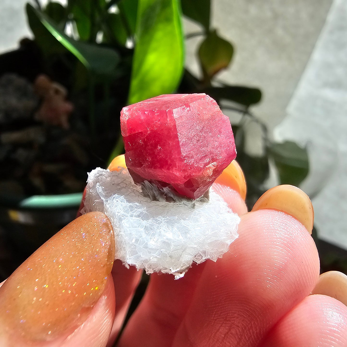 Raspberry Garnet Crystal 19ct | Raw Rare, No Matrix, Collector Rosolite Gemstone | Hot Pink Red Grossular, Sierra de Cruces, Coahuila Mexico
