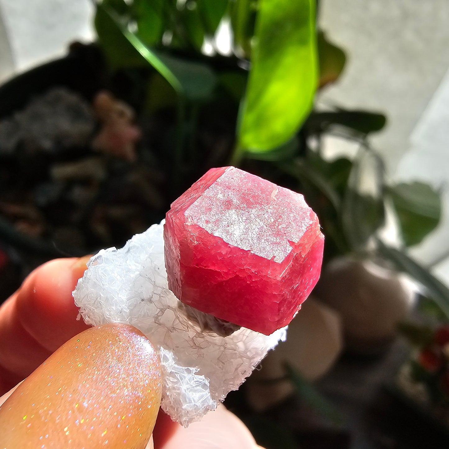 Raspberry Garnet Crystal 19ct | Raw Rare, No Matrix, Collector Rosolite Gemstone | Hot Pink Red Grossular, Sierra de Cruces, Coahuila Mexico