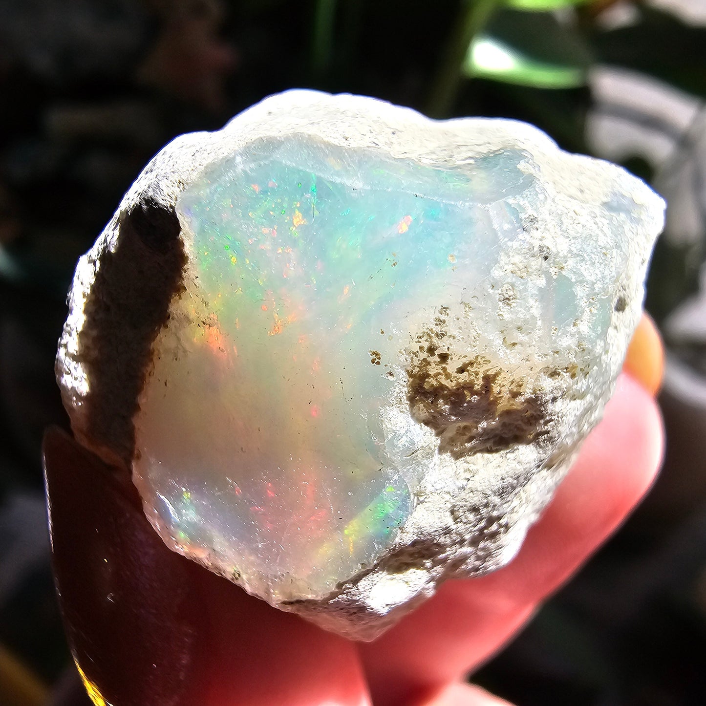 Large Raw Opal, 55ct/11g Rough Rare Rainbow Mineral Specimen, Flashy Gem, Multicolored, Welo Ethiopia, Newer find, Dry Stable Material