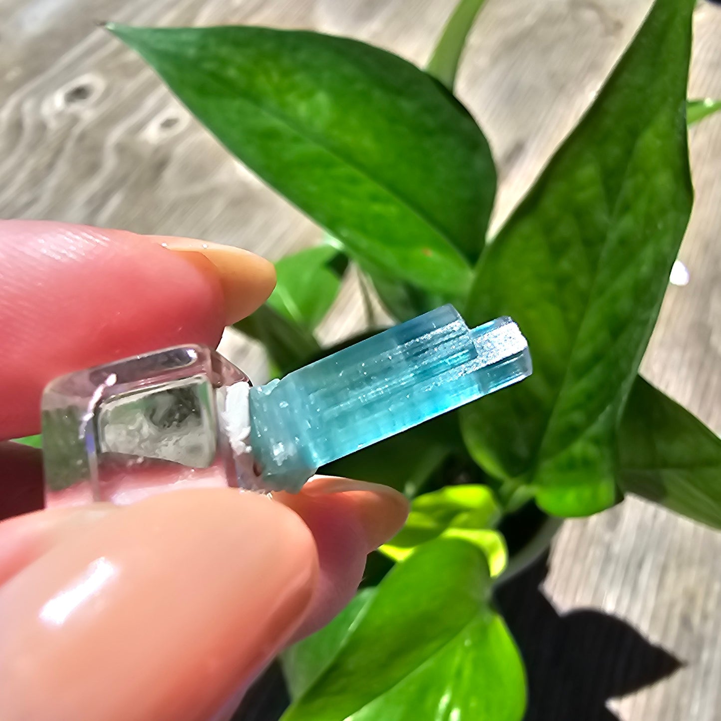 5.3ct Tourmaline Twin, Rich Bright Blue Indicolite, Elbaite Twinned Gemstone, Rare Specimen, Blue Capped, Terminated Raw Rough Crystal