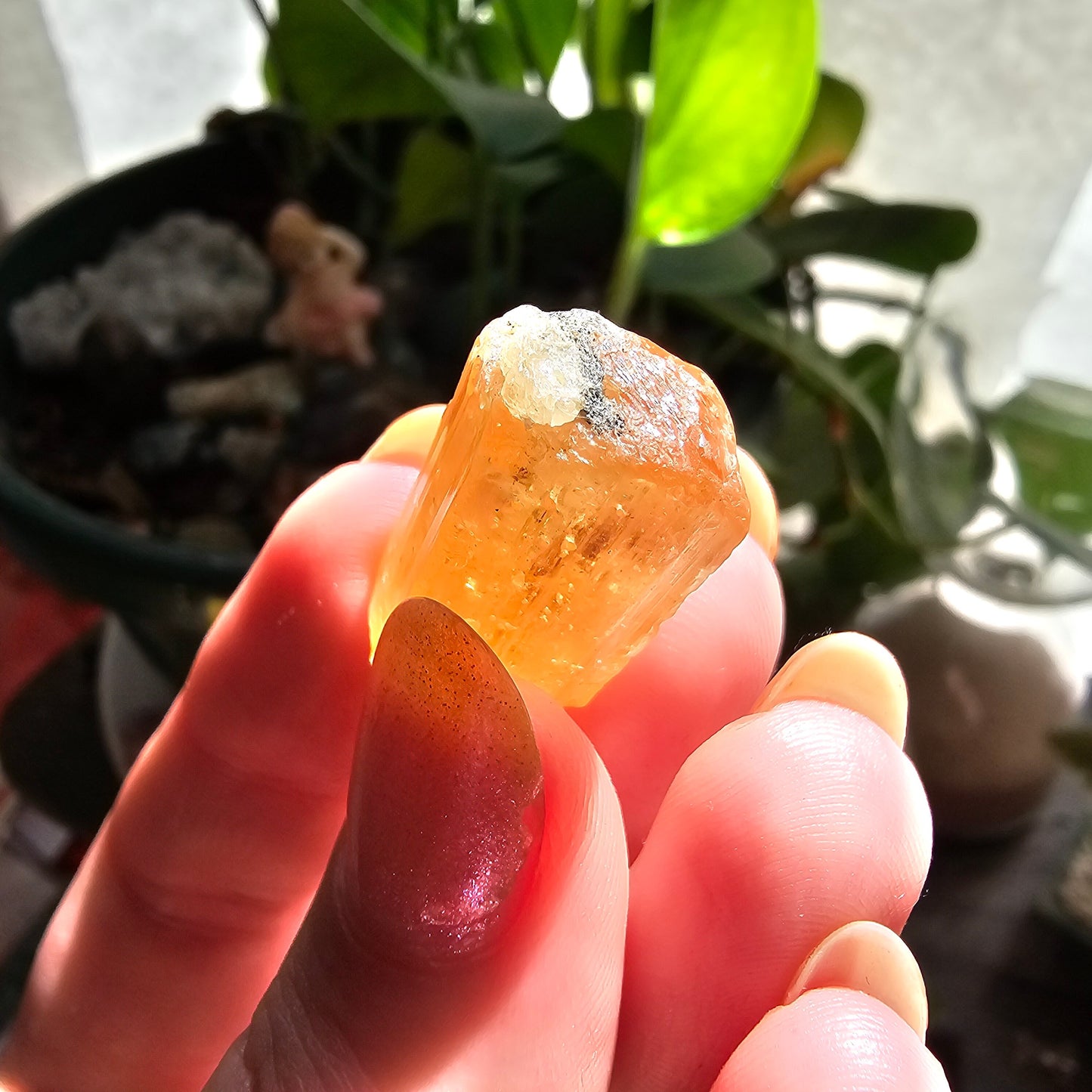 Large Imperial Topaz Gem, Ouro Preto Brazil, 50ct, Old Stock, Rare Orange, Terminated Crystal, Saturated Color, Good Luster, November Stone