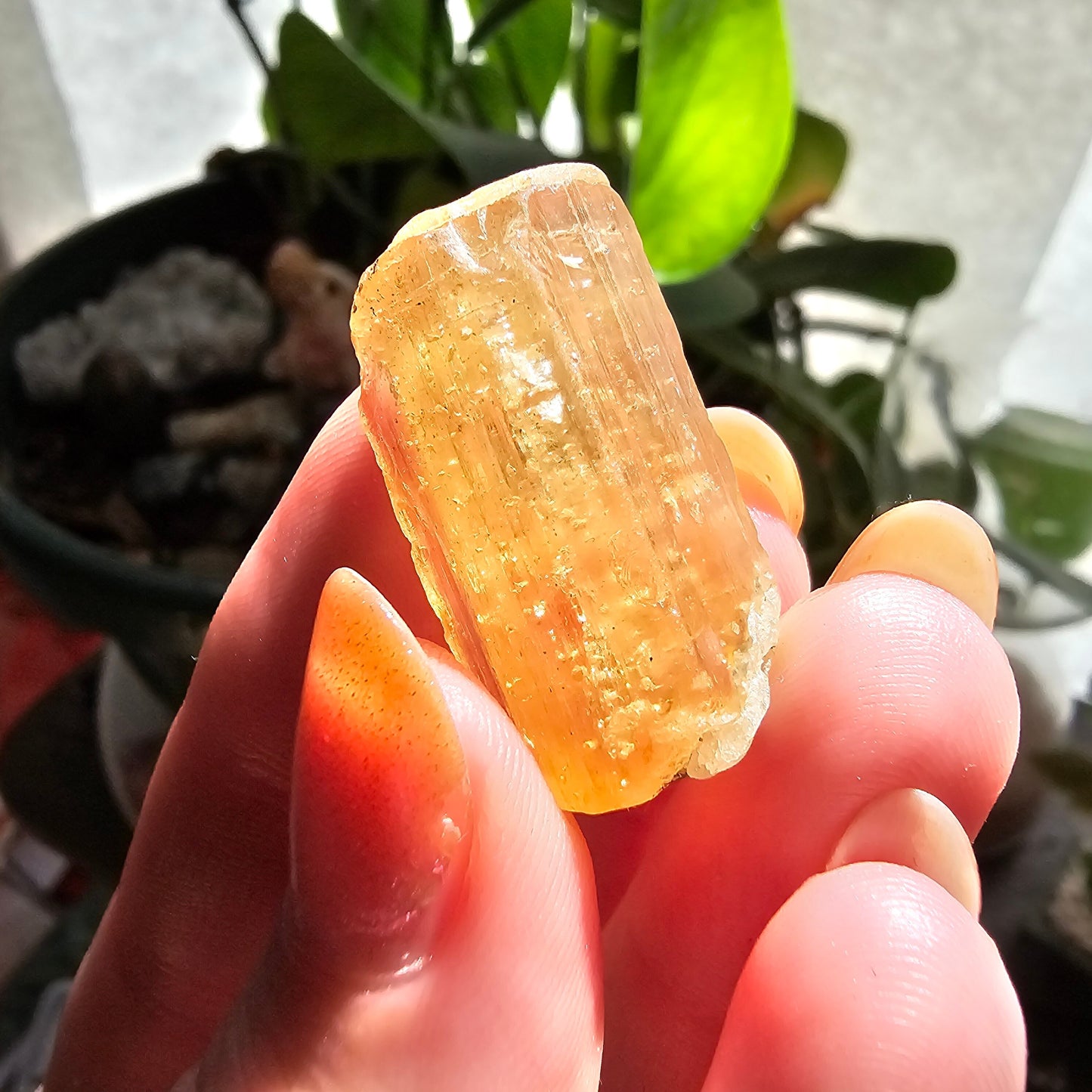 Large Imperial Topaz Gem, Ouro Preto Brazil, 50ct, Old Stock, Rare Orange, Terminated Crystal, Saturated Color, Good Luster, November Stone