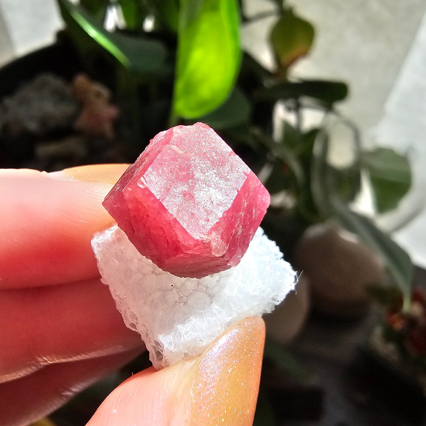 Raspberry Garnet Crystal 19ct | Raw Rare, No Matrix, Collector Rosolite Gemstone | Hot Pink Red Grossular, Sierra de Cruces, Coahuila Mexico