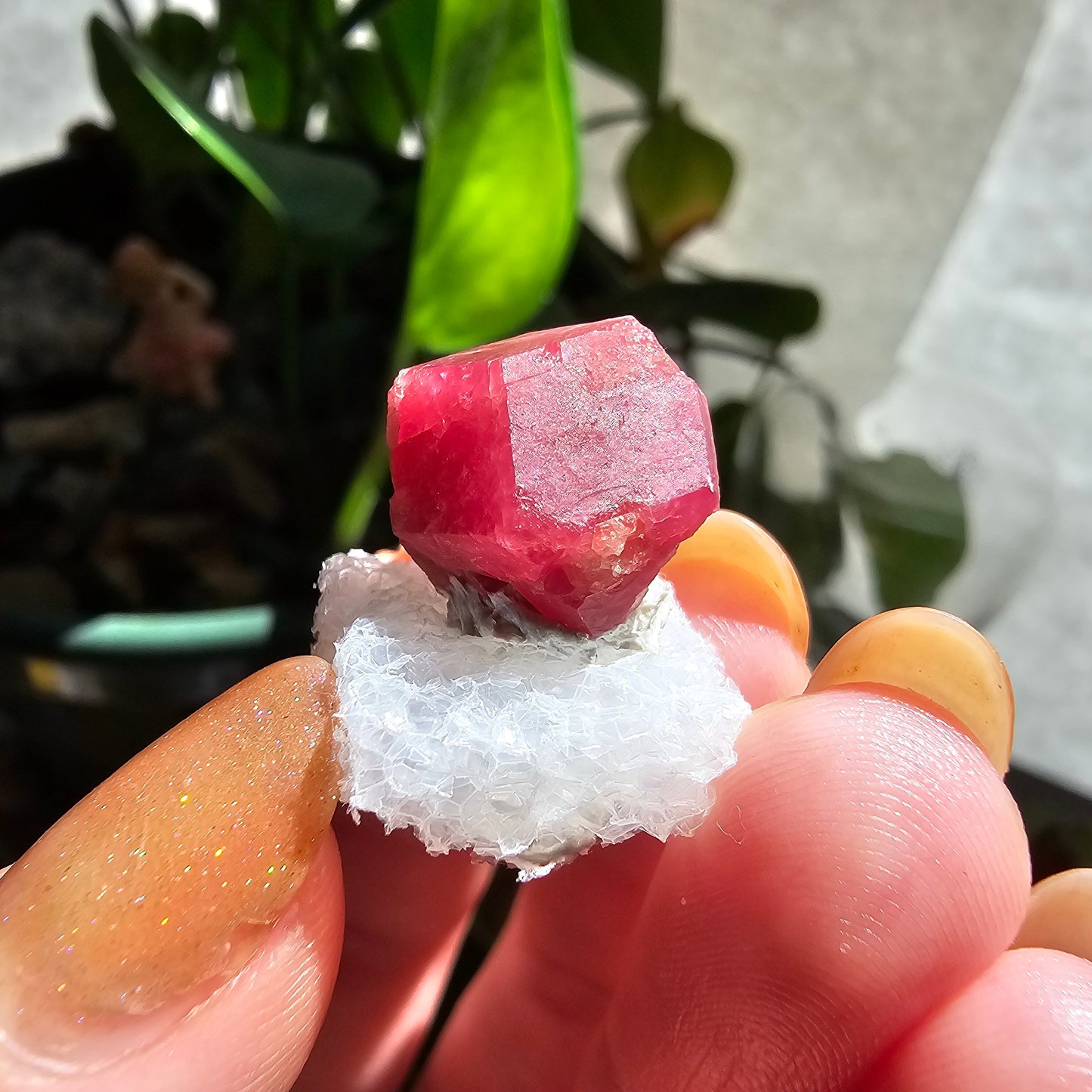Raspberry Garnet Crystal 19ct | Raw Rare, No Matrix, Collector Rosolite Gemstone | Hot Pink Red Grossular, Sierra de Cruces, Coahuila Mexico