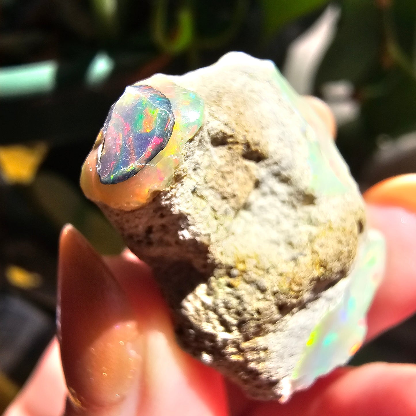 43ct Raw Opal, Rough Rare Rainbow Mineral Specimen, Rainbow Flashy Gem, Multicolored, Welo Ethiopia, Newer find, Opal w Matrix, Collectable