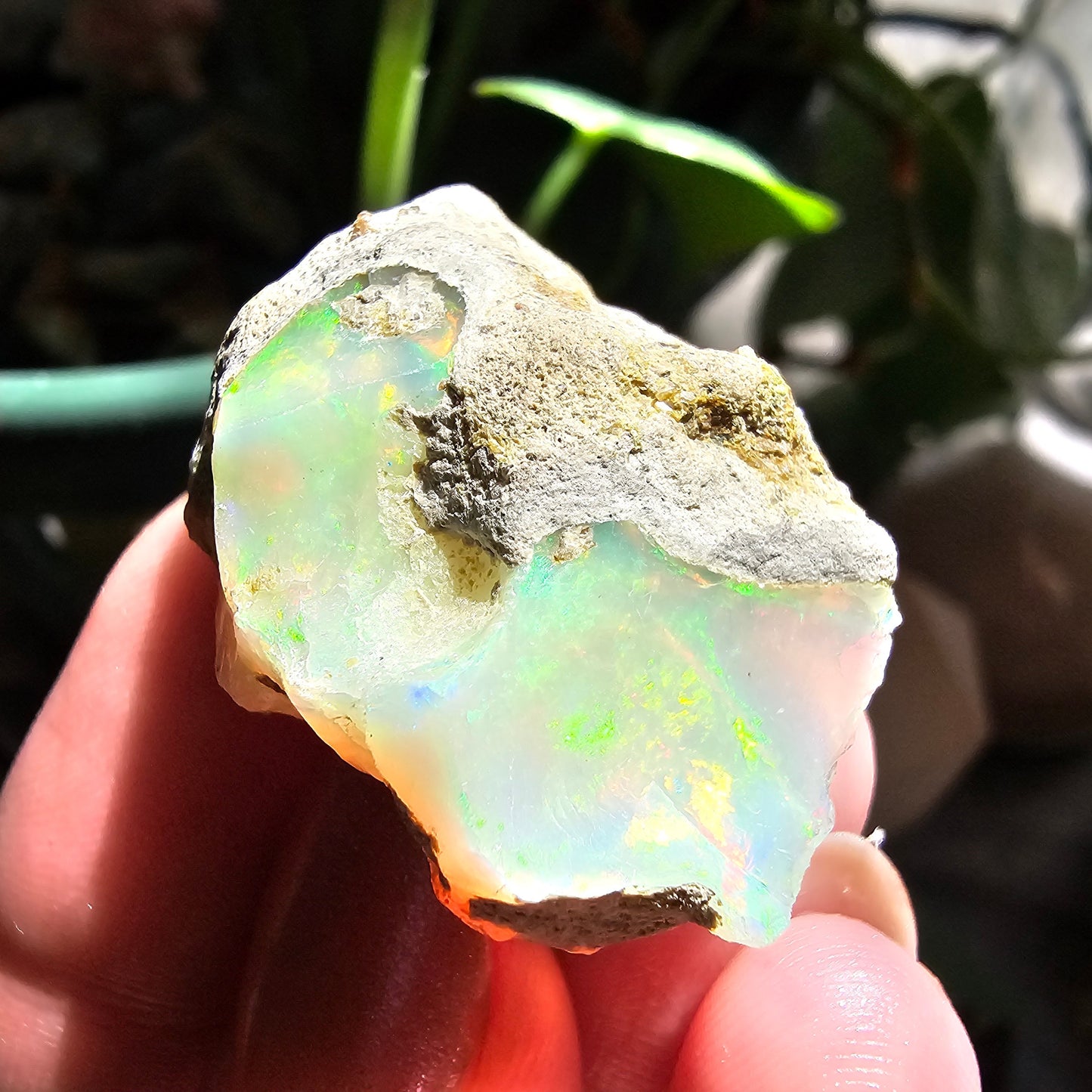 43ct Raw Opal, Rough Rare Rainbow Mineral Specimen, Rainbow Flashy Gem, Multicolored, Welo Ethiopia, Newer find, Opal w Matrix, Collectable