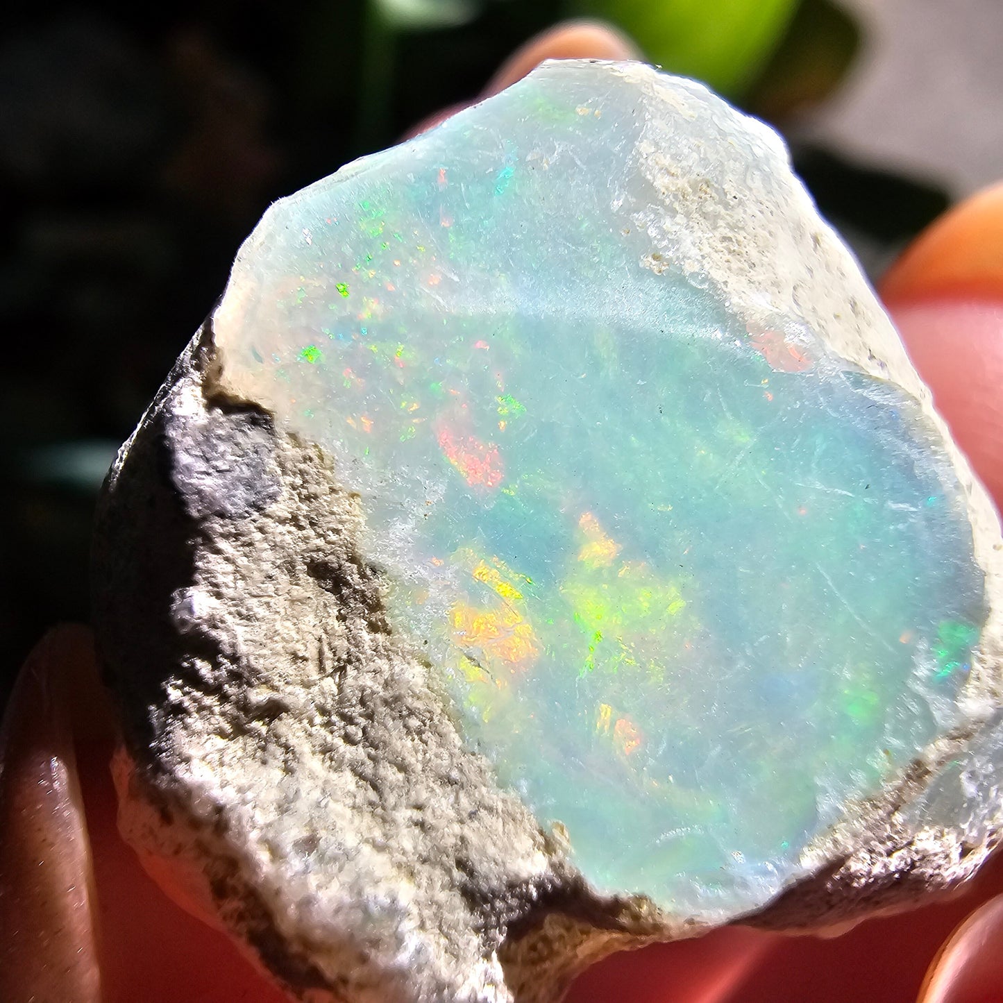 Large Raw Opal, 55ct/11g Rough Rare Rainbow Mineral Specimen, Flashy Gem, Multicolored, Welo Ethiopia, Newer find, Dry Stable Material
