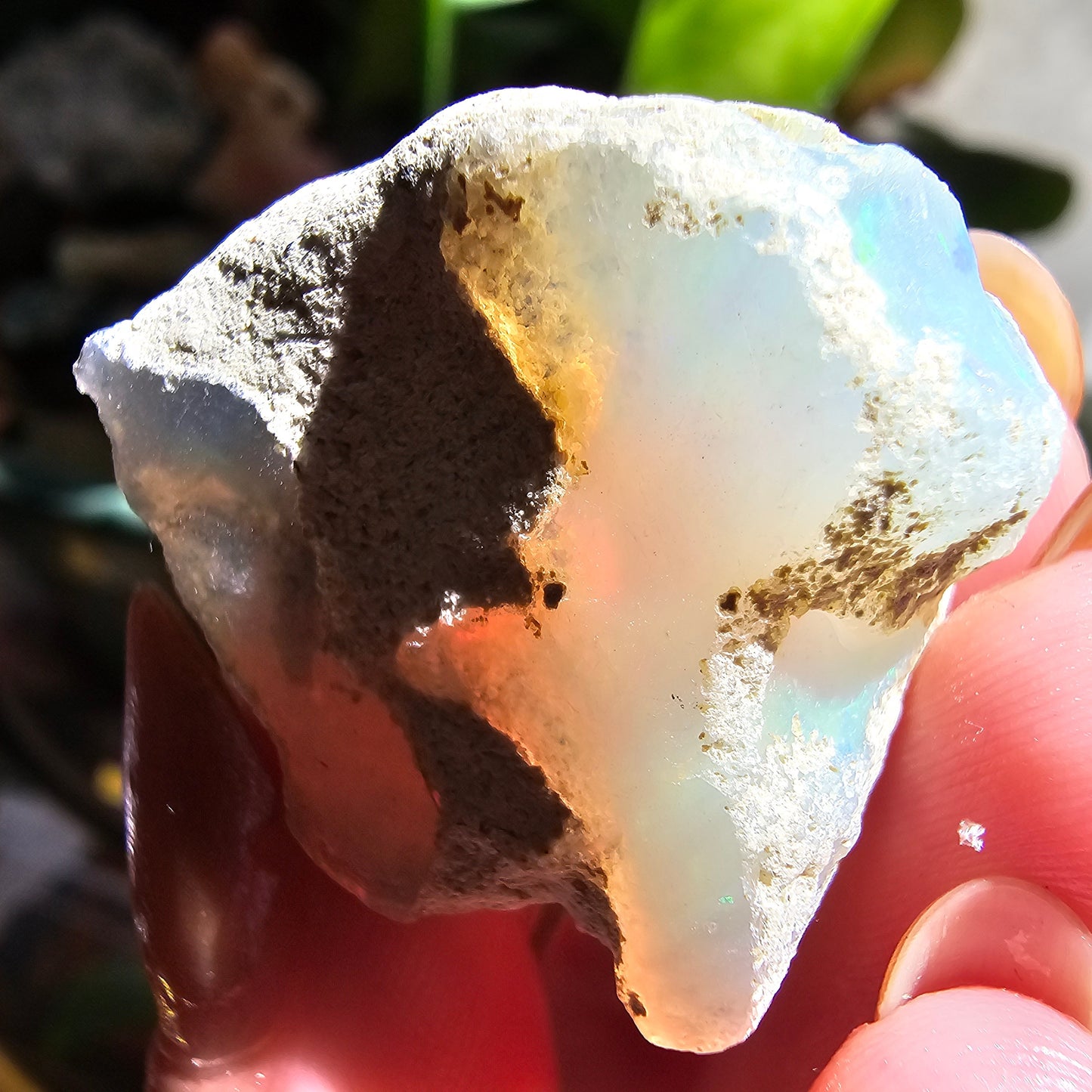 Large Raw Opal, 55ct/11g Rough Rare Rainbow Mineral Specimen, Flashy Gem, Multicolored, Welo Ethiopia, Newer find, Dry Stable Material