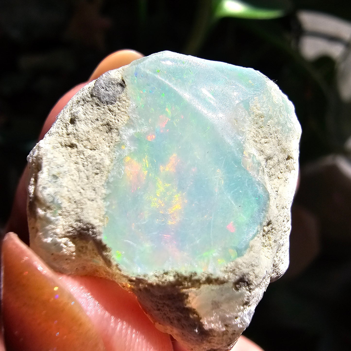 Large Raw Opal, 55ct/11g Rough Rare Rainbow Mineral Specimen, Flashy Gem, Multicolored, Welo Ethiopia, Newer find, Dry Stable Material