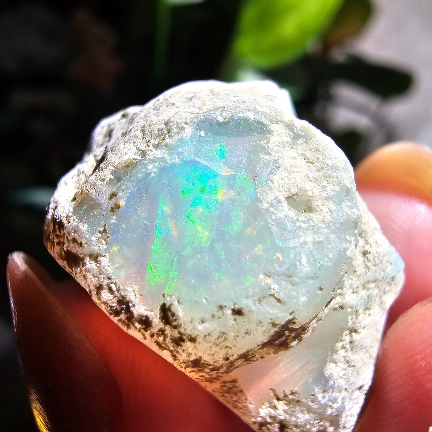 Large Raw Opal, 55ct/11g Rough Rare Rainbow Mineral Specimen, Flashy Gem, Multicolored, Welo Ethiopia, Newer find, Dry Stable Material