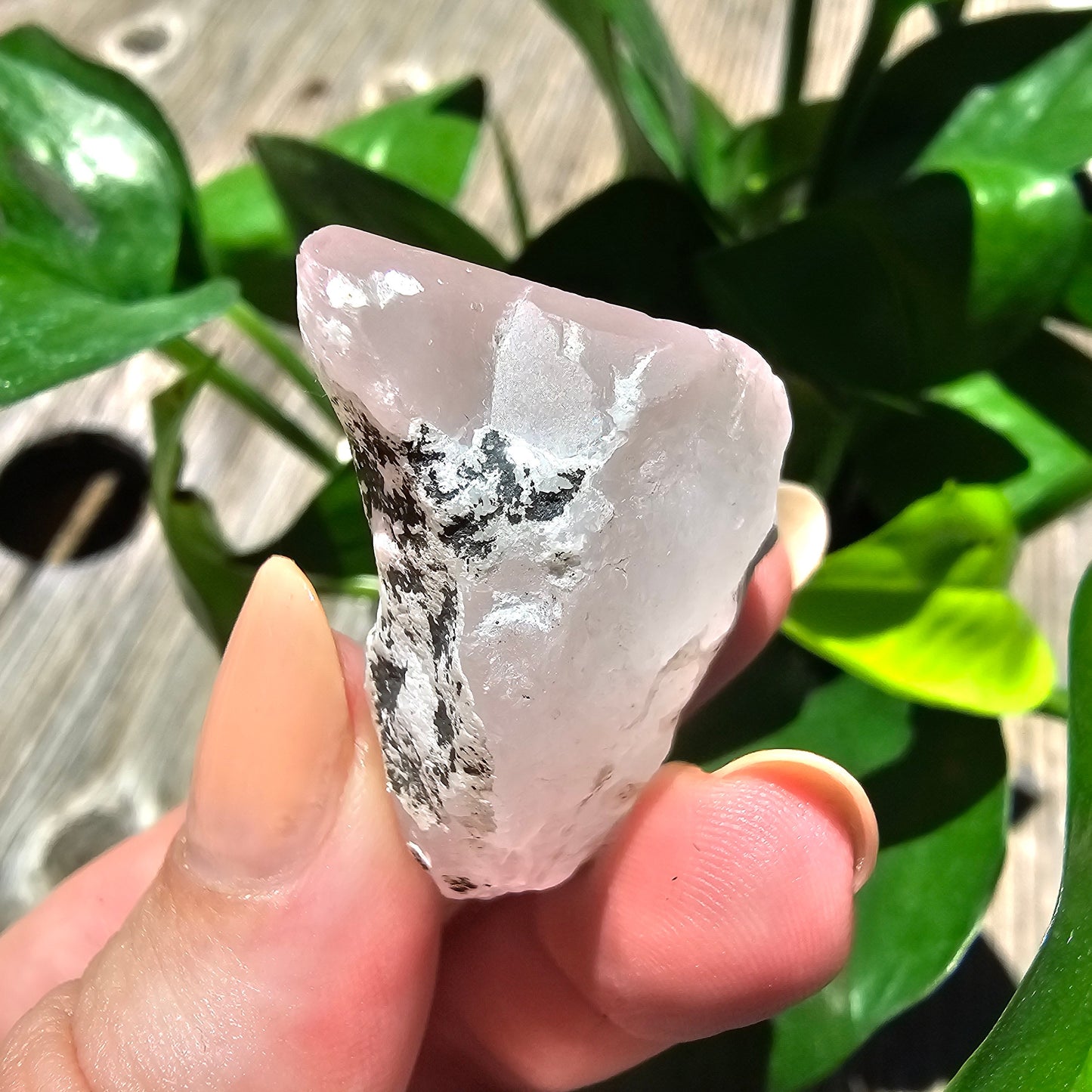 110ct Pink Morganite Crystal, Terminated Pale Pink Beryl, Raw Rare Mineral Specimen, Rough Morganite, Skardu Pakistan, w Quartz Association