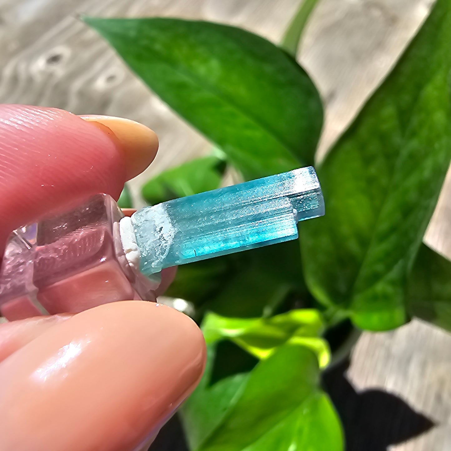 5.3ct Tourmaline Twin, Rich Bright Blue Indicolite, Elbaite Twinned Gemstone, Rare Specimen, Blue Capped, Terminated Raw Rough Crystal