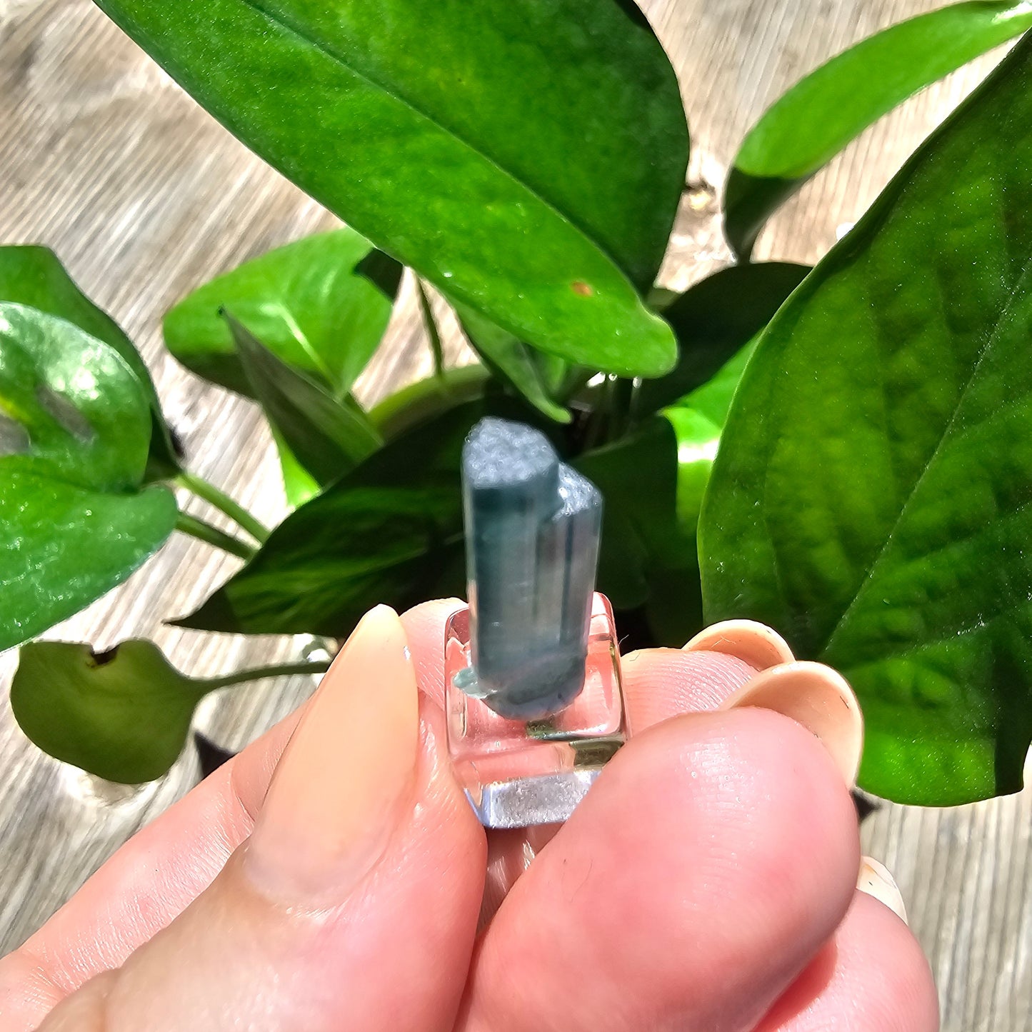5.3ct Tourmaline Twin, Rich Bright Blue Indicolite, Elbaite Twinned Gemstone, Rare Specimen, Blue Capped, Terminated Raw Rough Crystal
