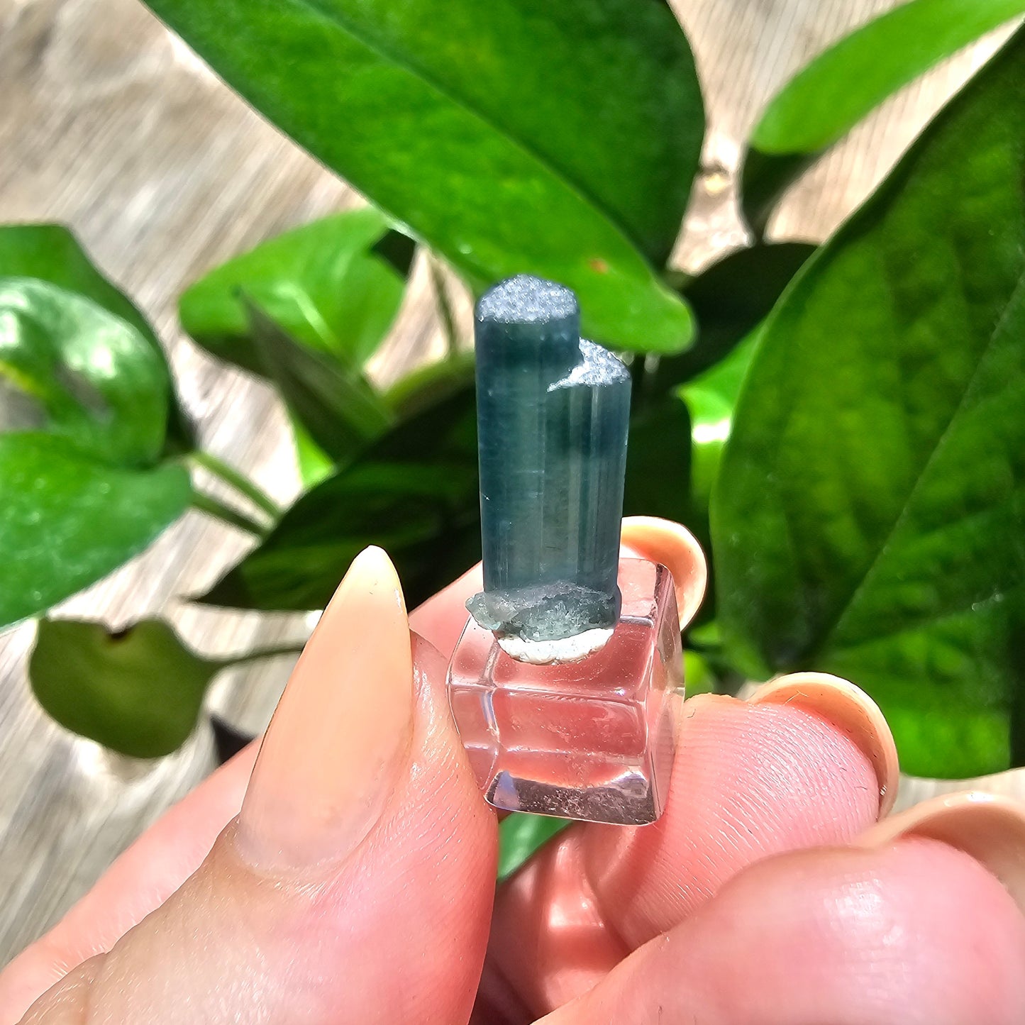 5.3ct Tourmaline Twin, Rich Bright Blue Indicolite, Elbaite Twinned Gemstone, Rare Specimen, Blue Capped, Terminated Raw Rough Crystal