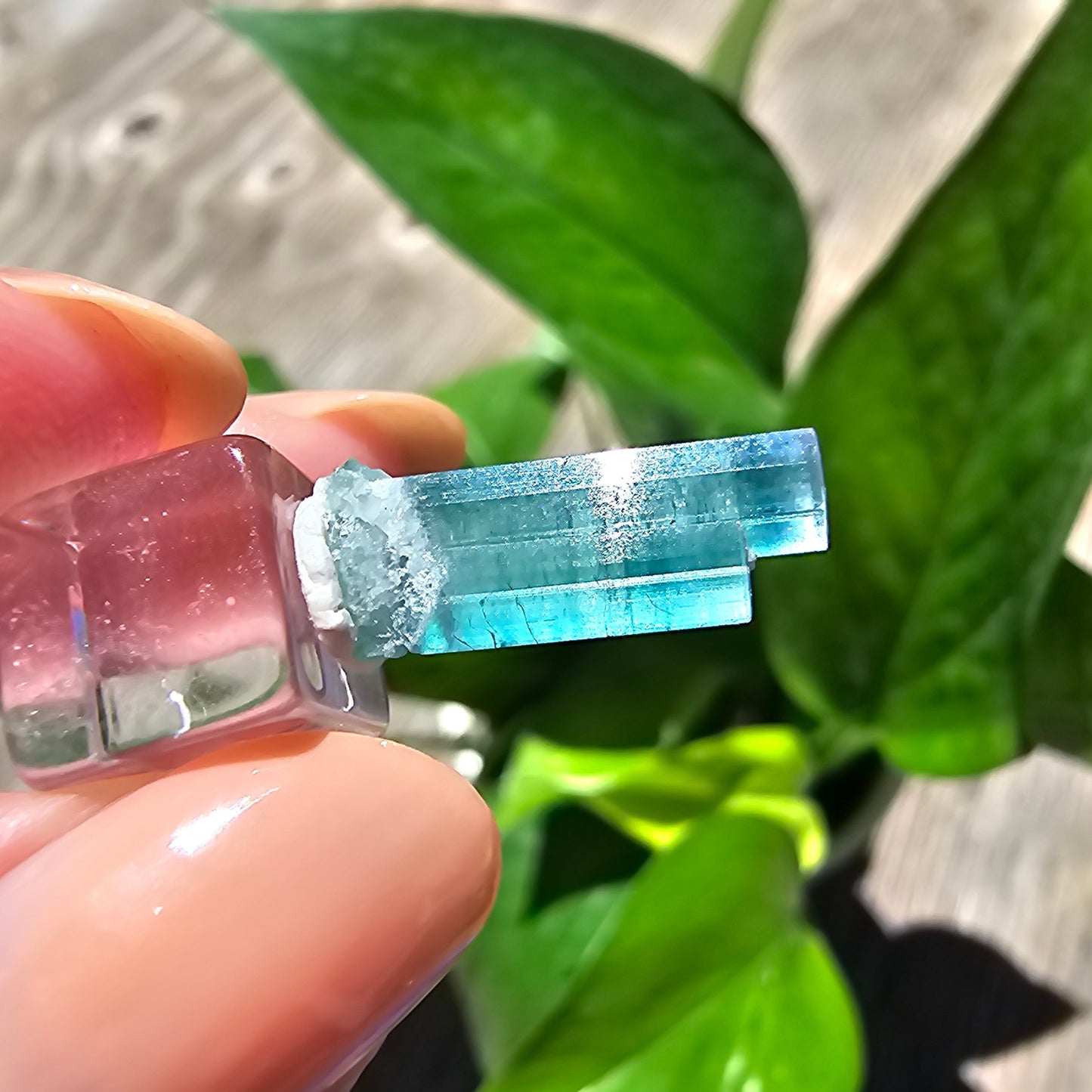 5.3ct Tourmaline Twin, Rich Bright Blue Indicolite, Elbaite Twinned Gemstone, Rare Specimen, Blue Capped, Terminated Raw Rough Crystal