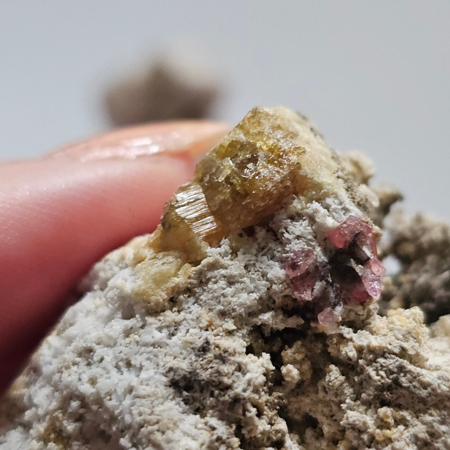 Raspberry Garnet on Matrix, Rare Raw Old Stock Mineral Specimen, Sierra de las Cruces Mexico, Local High End Rosalite, Deep Lustrous & Gemmy