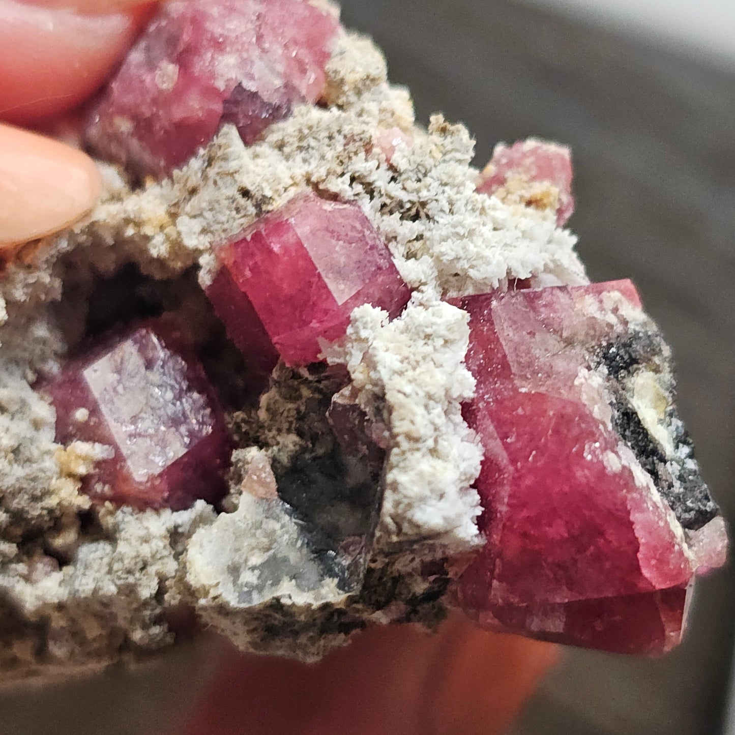 Raspberry Garnet on Matrix, Rare Raw Old Stock Mineral Specimen, Sierra de las Cruces Mexico, Local High End Rosalite, Deep Lustrous & Gemmy