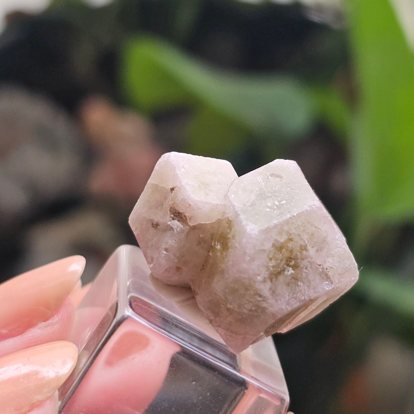 Pink and Green Garnet, Sierra de Cruces, Mexico, Old Stock, Lustrous Terminated, Twinned Grossular Garnet, Baby Pink, Watermelon, Collector
