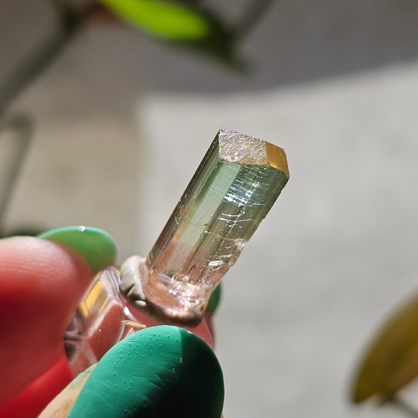 Tricolor Tourmaline Crystal, 9ct Raw Terminated Elbaite, Rare Gemstone, Perfect Termination, Pink Yellow and Green Tourmaline, October Stone