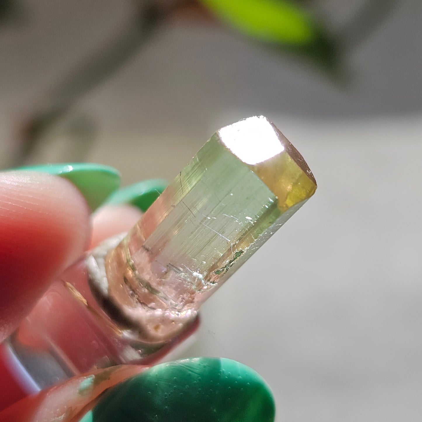 Tricolor Tourmaline Crystal, 9ct Raw Terminated Elbaite, Rare Gemstone, Perfect Termination, Pink Yellow and Green Tourmaline, October Stone