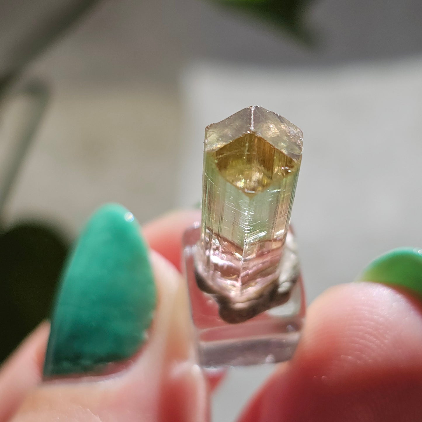 Tricolor Tourmaline Crystal, 9ct Raw Terminated Elbaite, Rare Gemstone, Perfect Termination, Pink Yellow and Green Tourmaline, October Stone