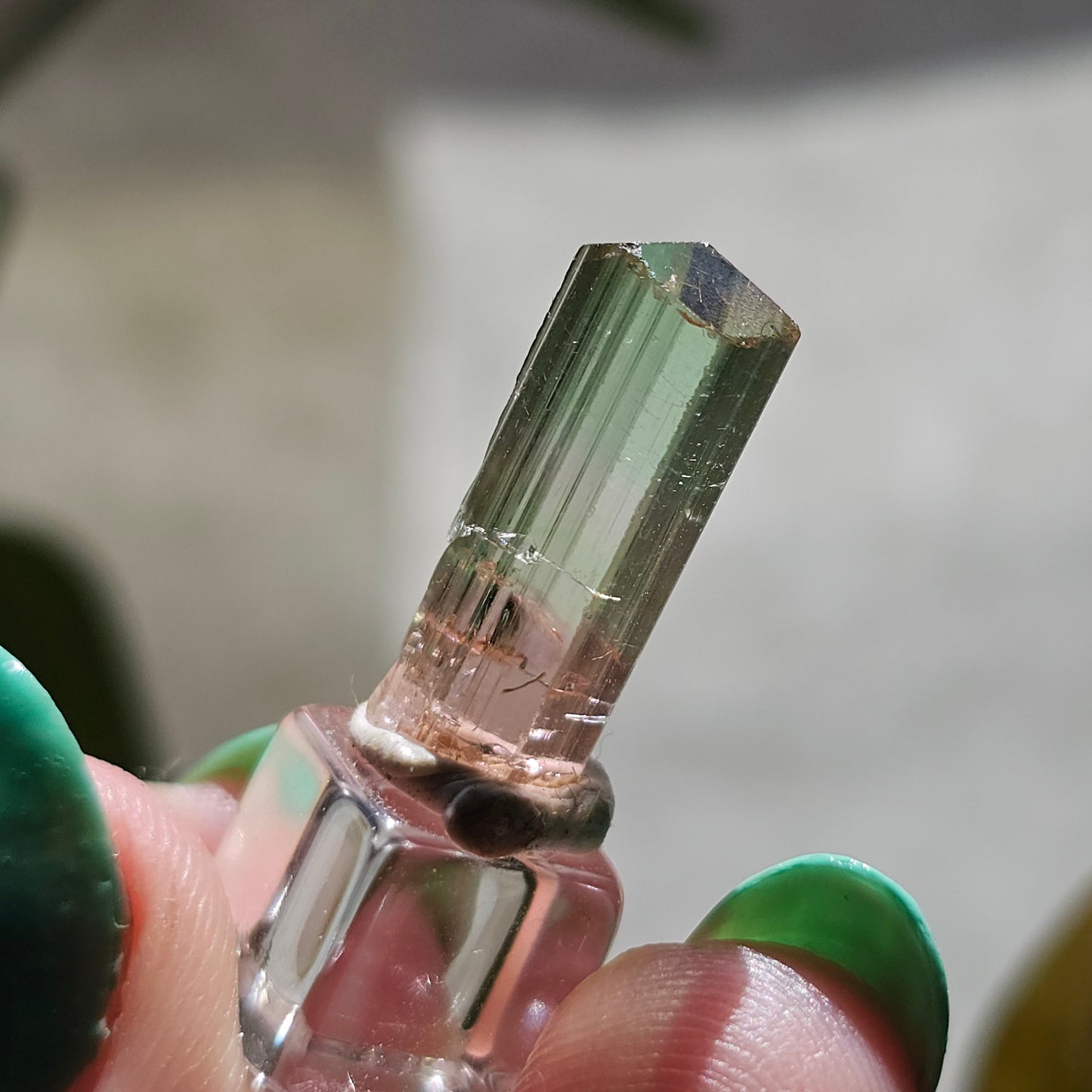 Tricolor Tourmaline Crystal, 9ct Raw Terminated Elbaite, Rare Gemstone, Perfect Termination, Pink Yellow and Green Tourmaline, October Stone