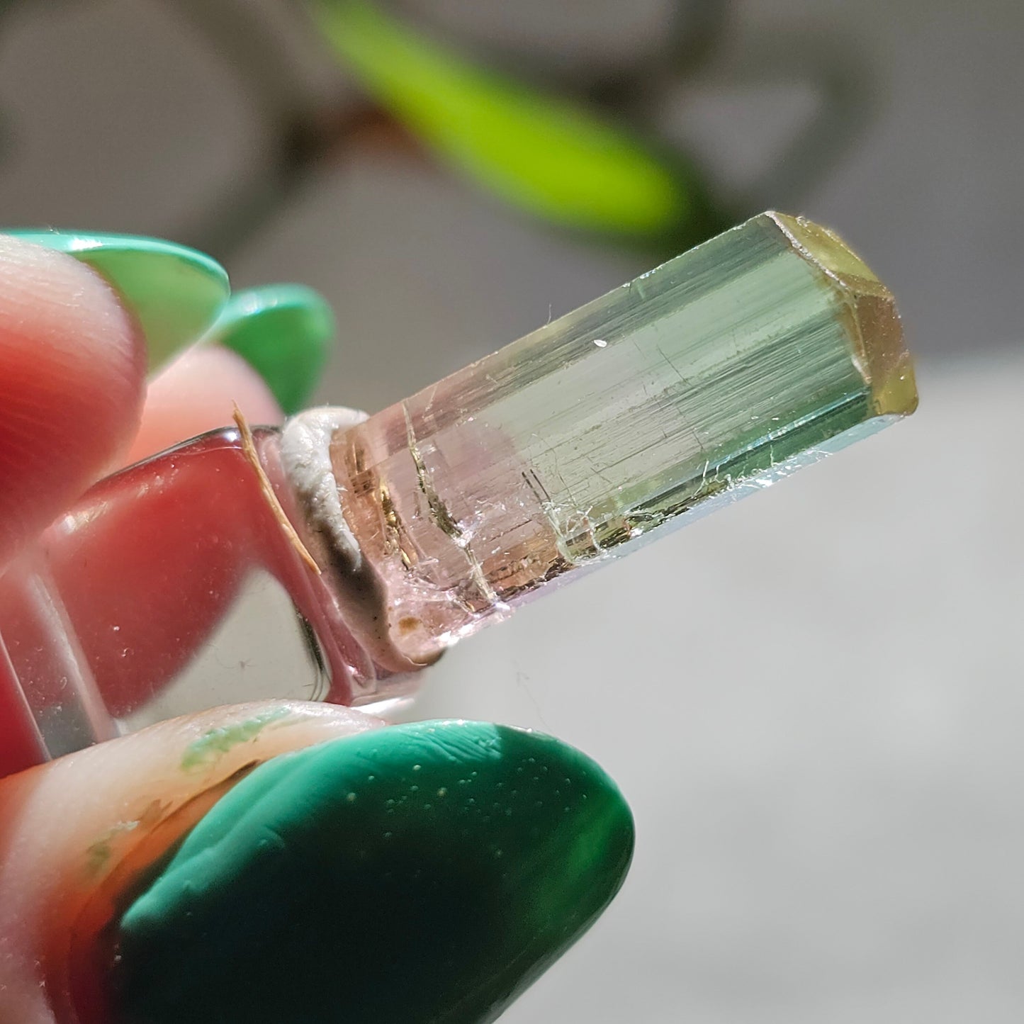Tricolor Tourmaline Crystal, 9ct Raw Terminated Elbaite, Rare Gemstone, Perfect Termination, Pink Yellow and Green Tourmaline, October Stone
