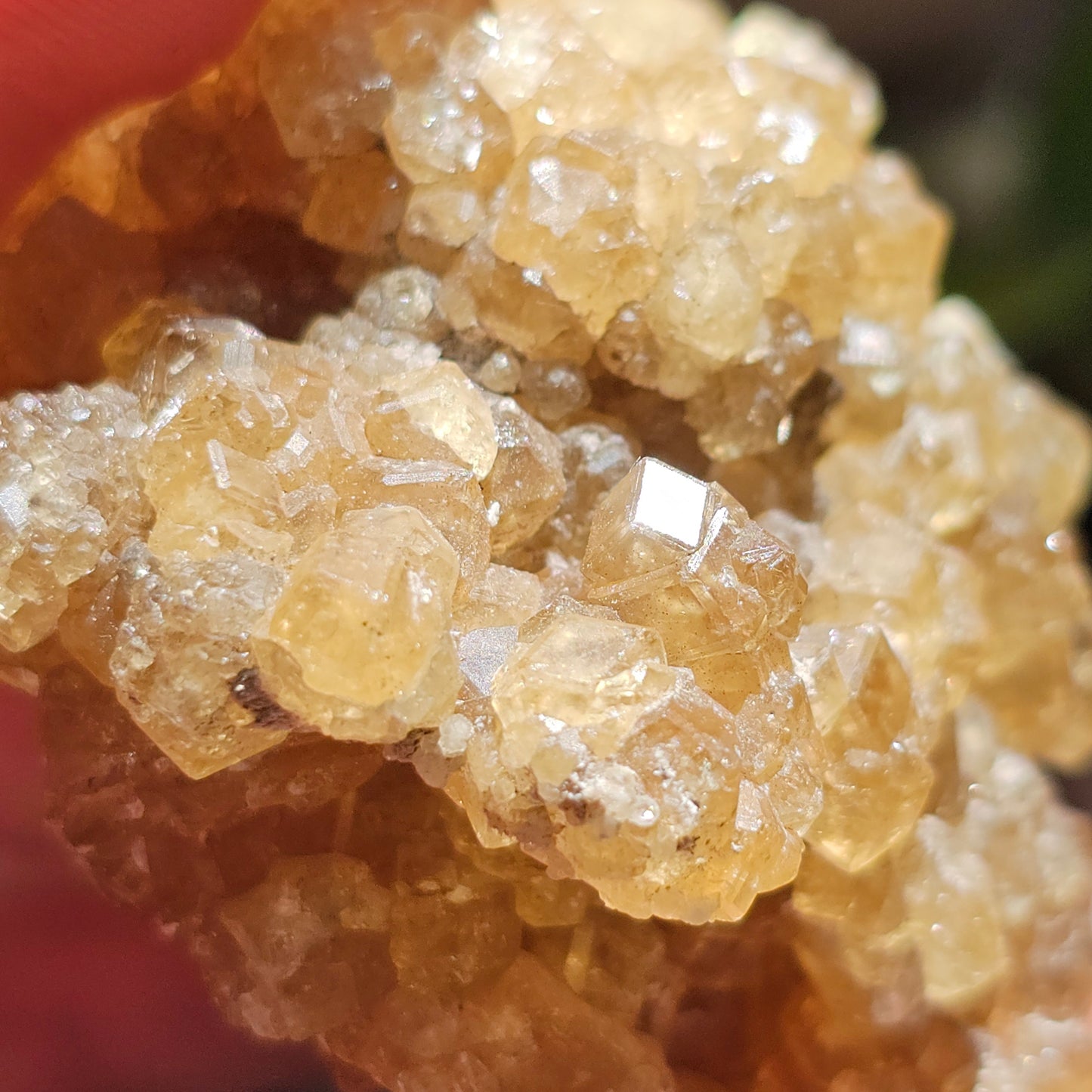 Honey Garnet Cluster, XL Yellow Grossular, Old Stock from Hebei China