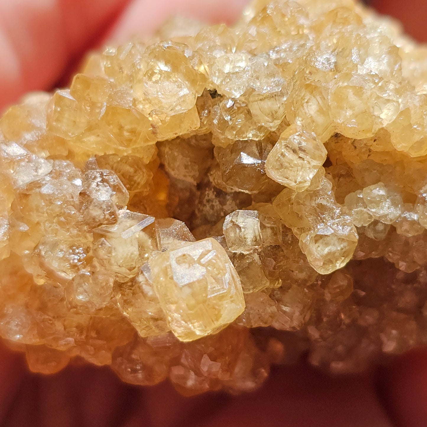 Honey Garnet Cluster, XL Yellow Grossular, Old Stock from Hebei China