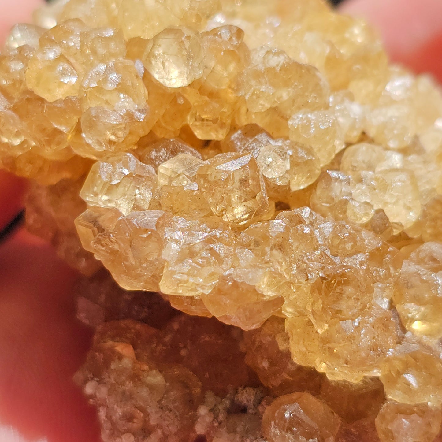 Honey Garnet Cluster, XL Yellow Grossular, Old Stock from Hebei China