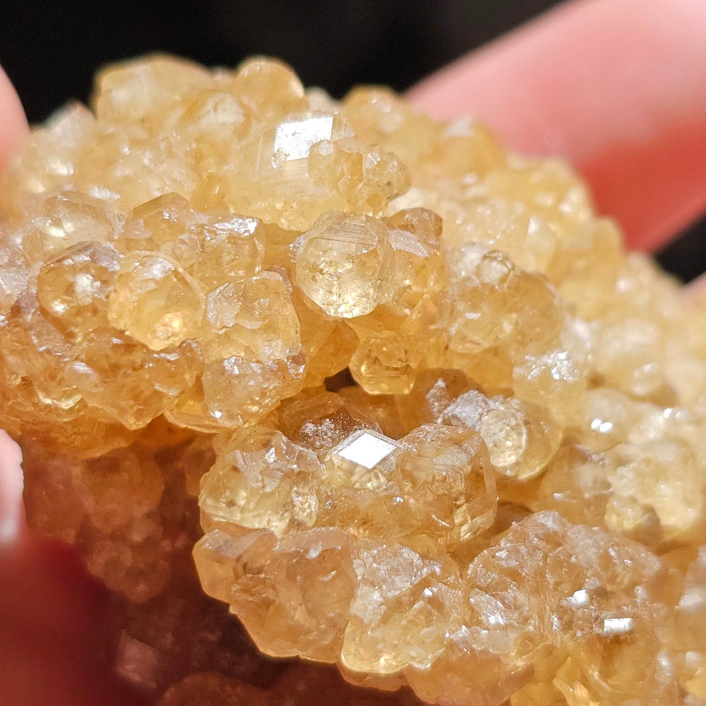 Honey Garnet Cluster, XL Yellow Grossular, Old Stock from Hebei China