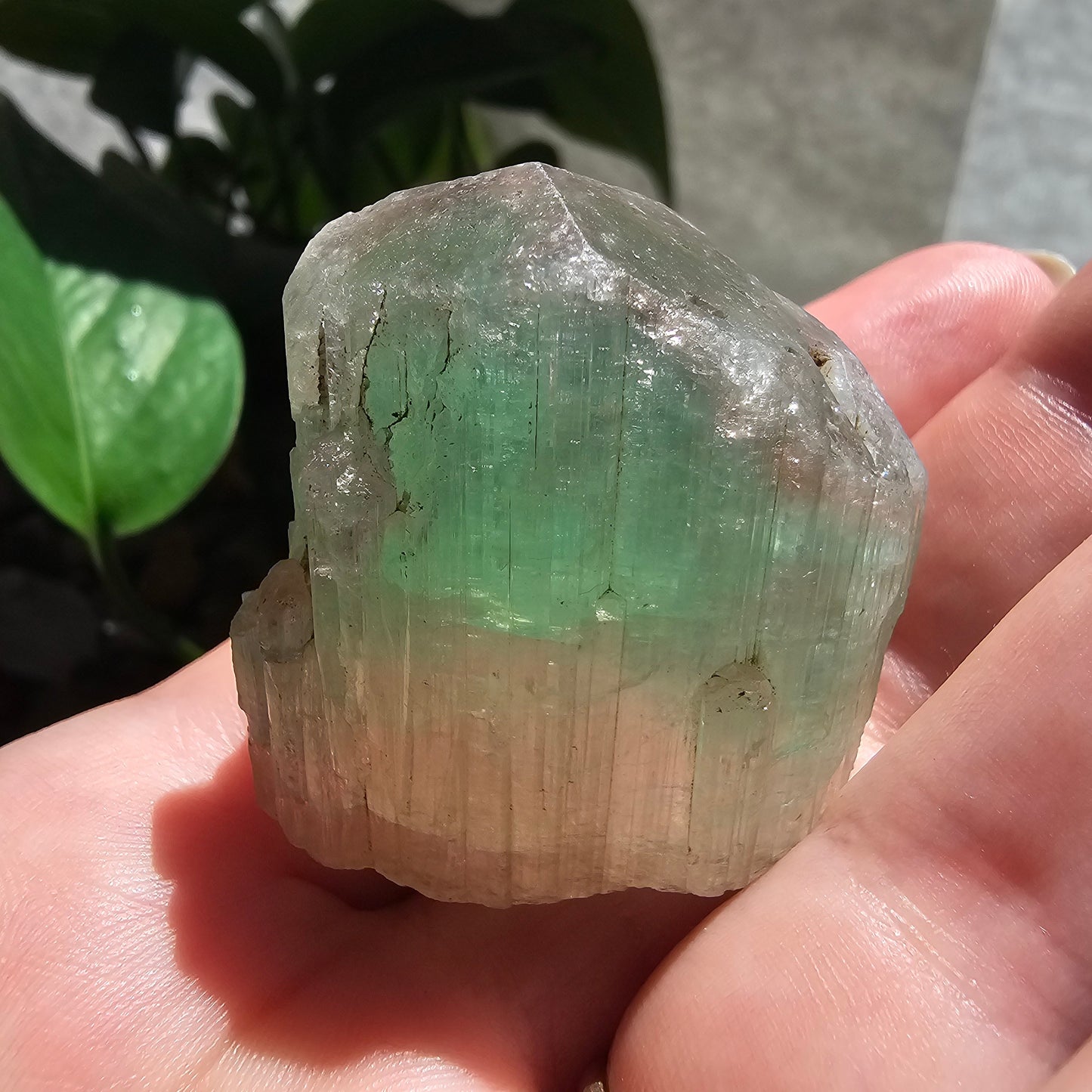 Large Tourmaline, Paprok Mine, 49g, Old Stock
