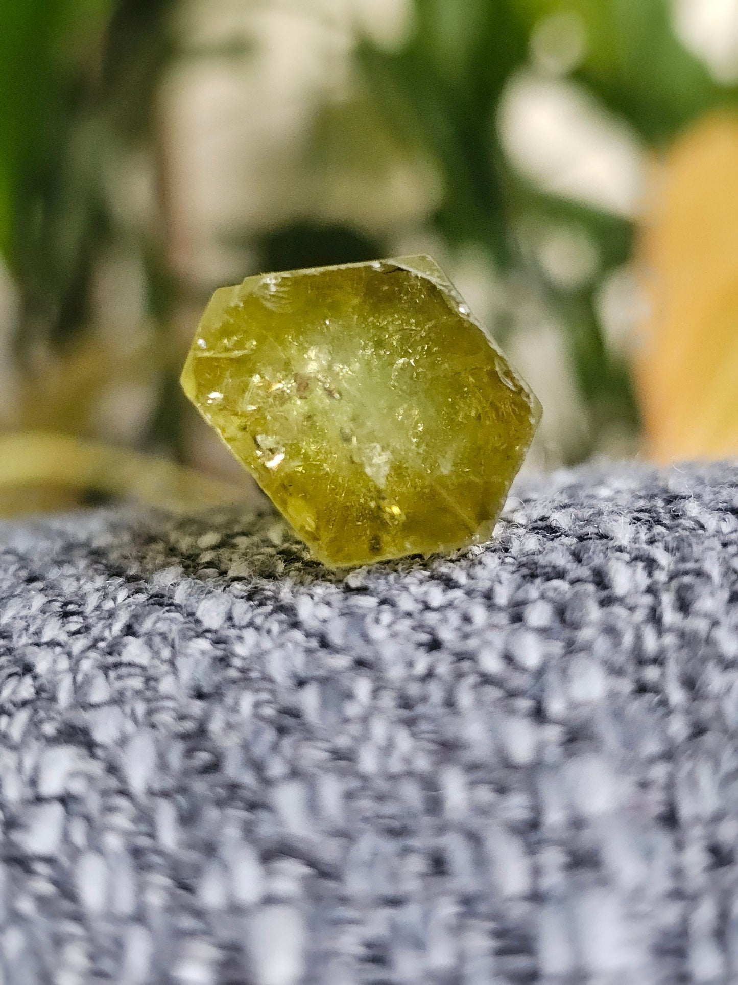 Heliodor w Hematite Rose, Big 25g Bright Yellow Beryl Crystal, Raw Terminated, High Luster, Saturated, Rare Collector Gemstone, Fine Mineral