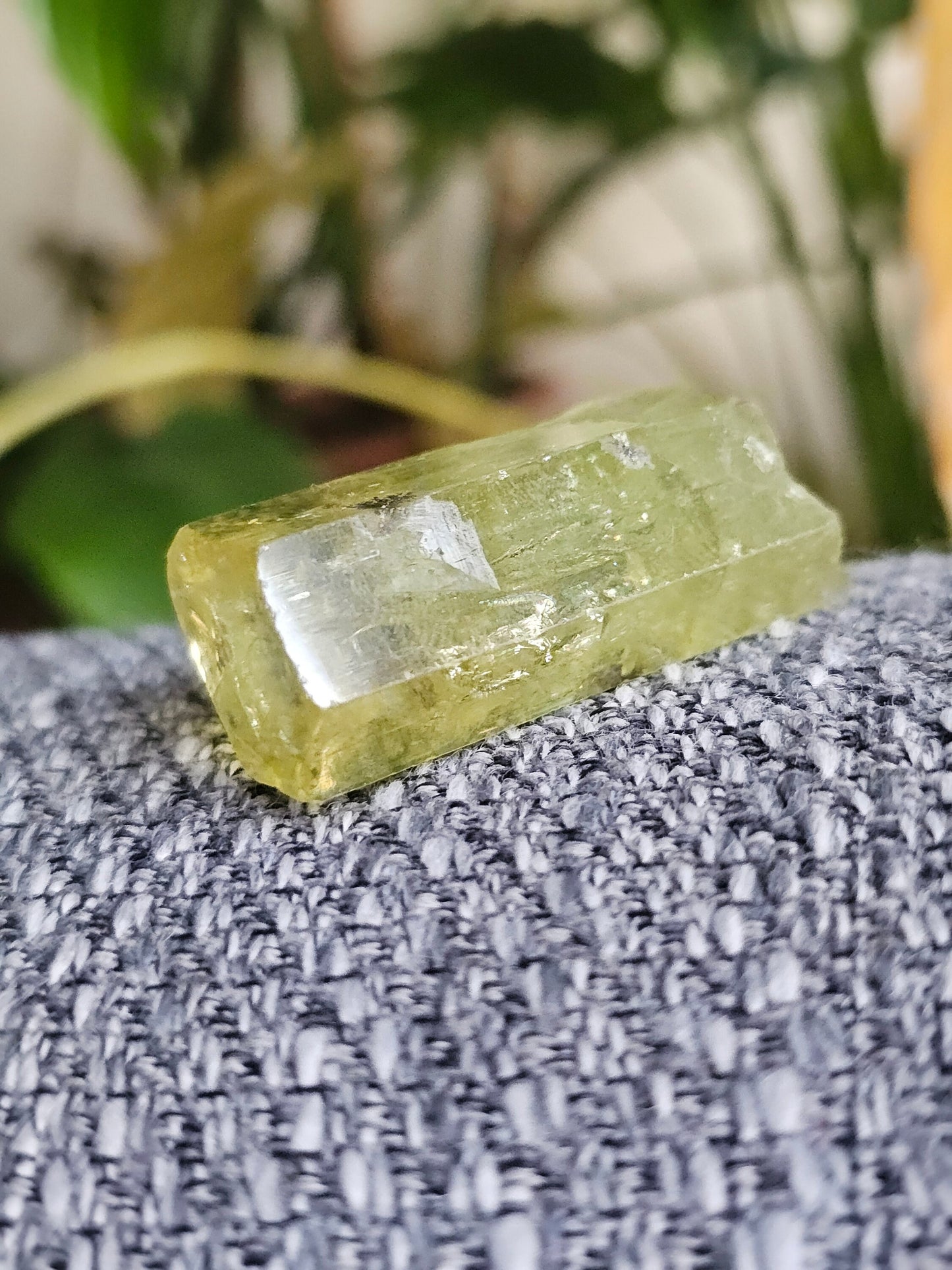 Heliodor w Hematite Rose, Big 25g Bright Yellow Beryl Crystal, Raw Terminated, High Luster, Saturated, Rare Collector Gemstone, Fine Mineral