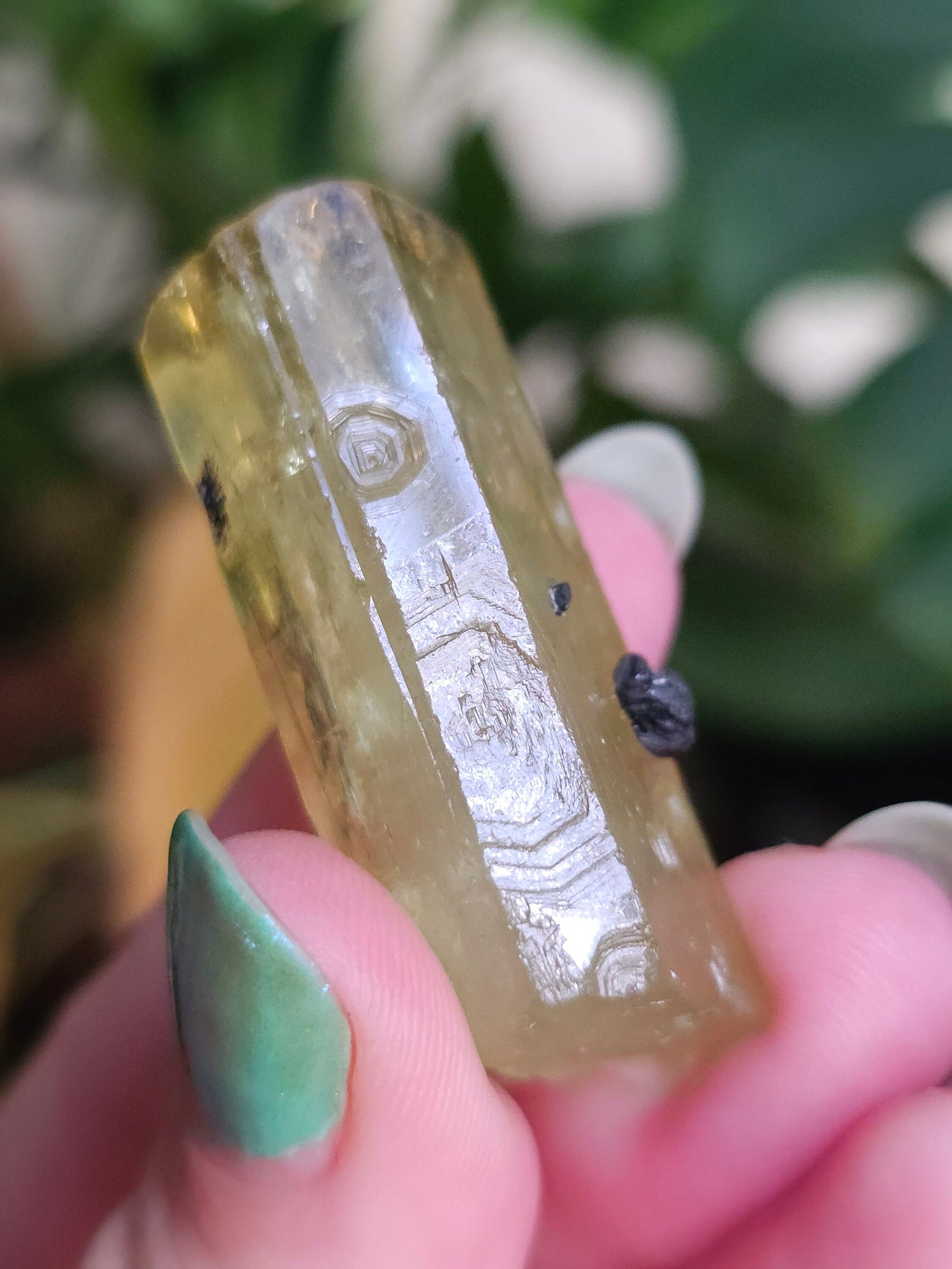 Heliodor w Hematite Rose, Big 25g Bright Yellow Beryl Crystal, Raw Terminated, High Luster, Saturated, Rare Collector Gemstone, Fine Mineral