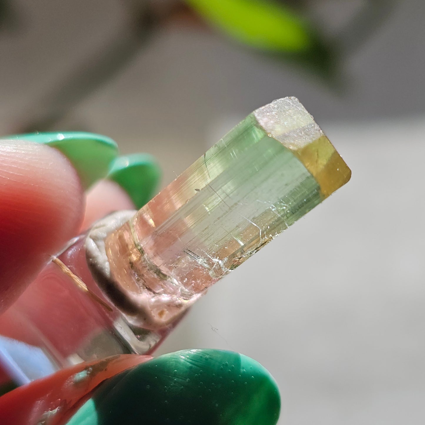 Tricolor Tourmaline Crystal, 9ct Raw Terminated Elbaite, Rare Gemstone, Perfect Termination, Pink Yellow and Green Tourmaline, October Stone
