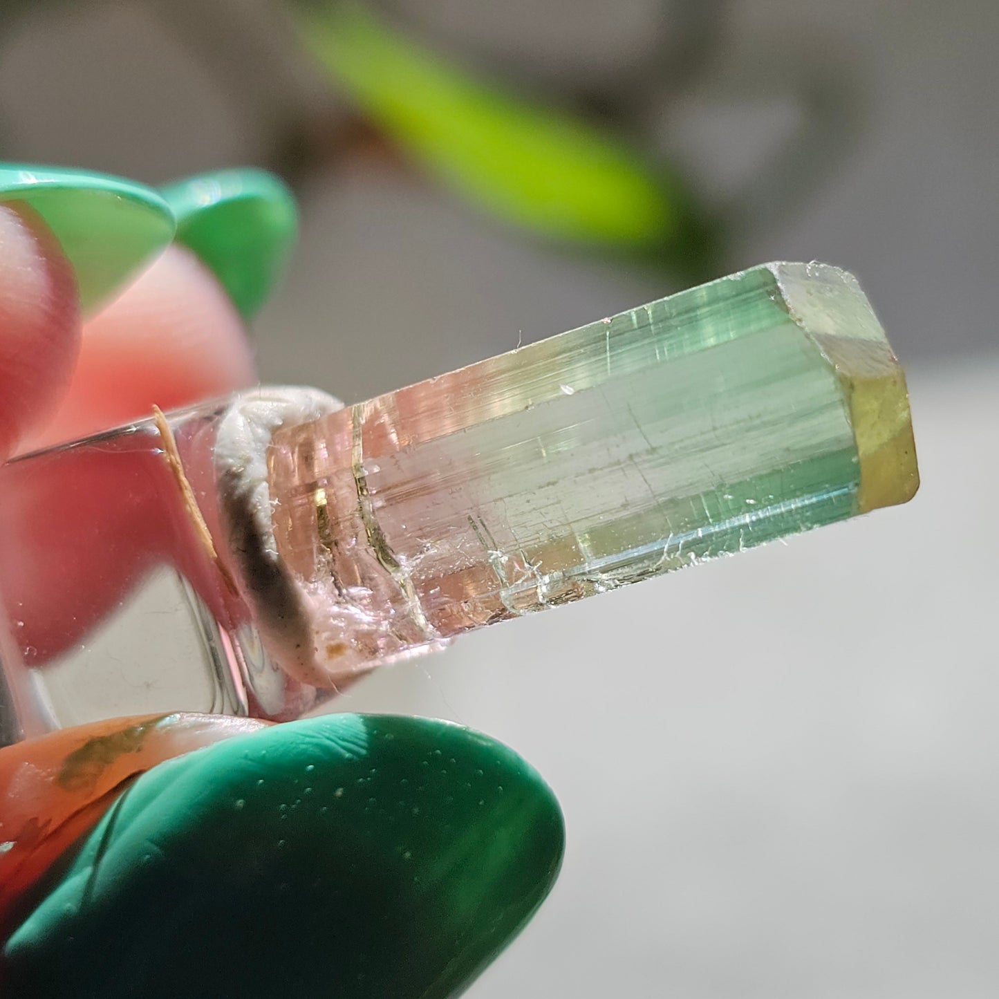 Tricolor Tourmaline Crystal, 9ct Raw Terminated Elbaite, Rare Gemstone, Perfect Termination, Pink Yellow and Green Tourmaline, October Stone