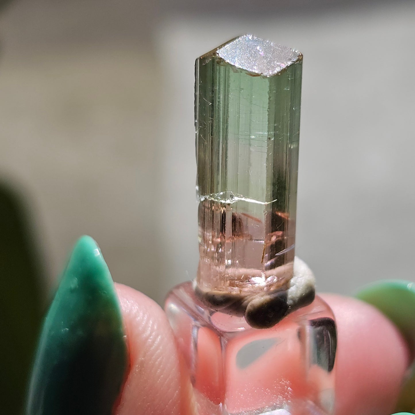 Tricolor Tourmaline Crystal, 9ct Raw Terminated Elbaite, Rare Gemstone, Perfect Termination, Pink Yellow and Green Tourmaline, October Stone