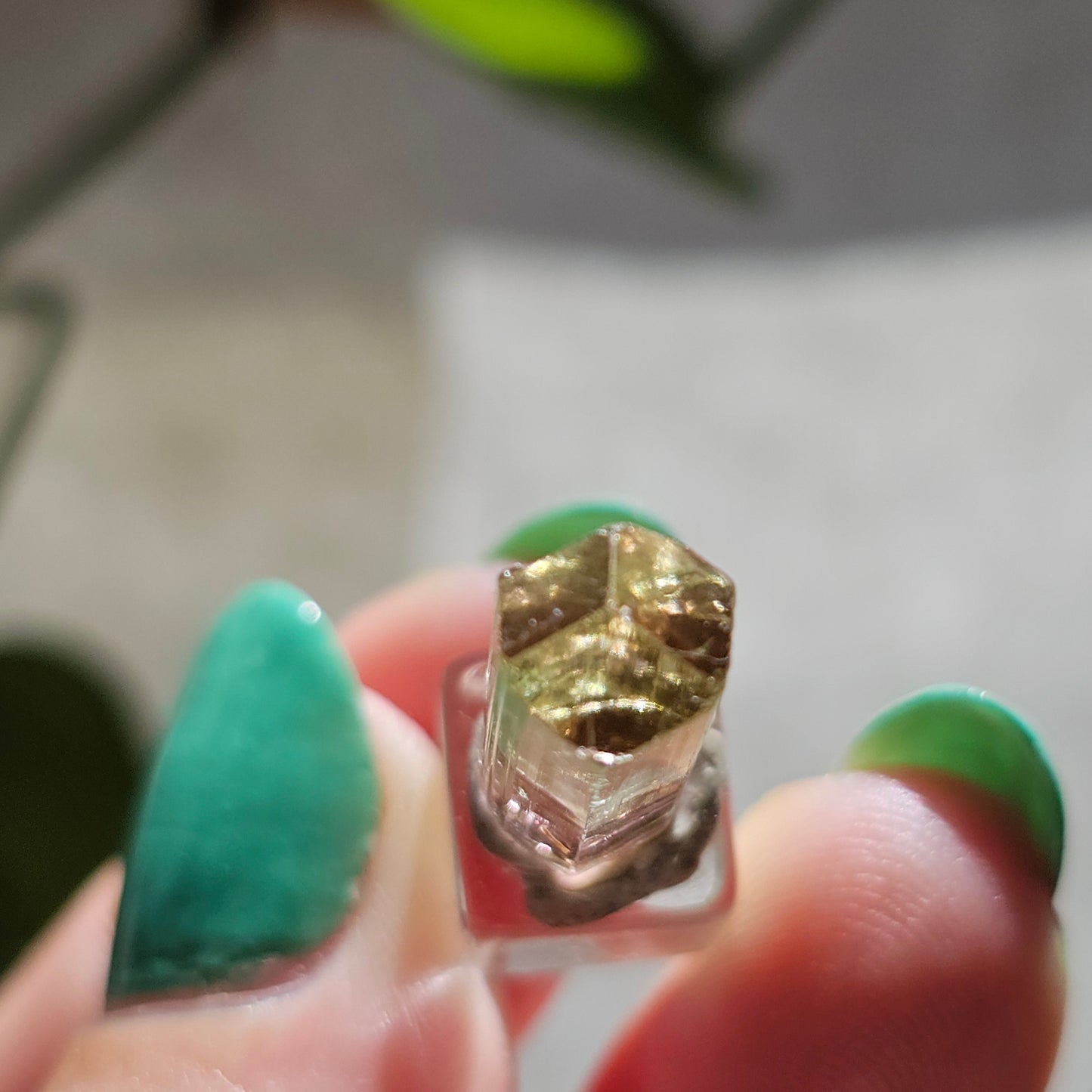 Tricolor Tourmaline Crystal, 9ct Raw Terminated Elbaite, Rare Gemstone, Perfect Termination, Pink Yellow and Green Tourmaline, October Stone