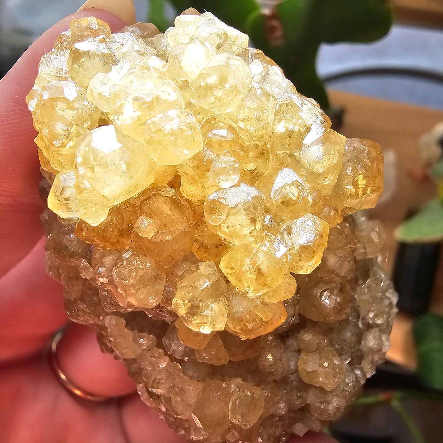 Honey Garnet Cluster, XL Yellow Grossular, Old Stock from Hebei China