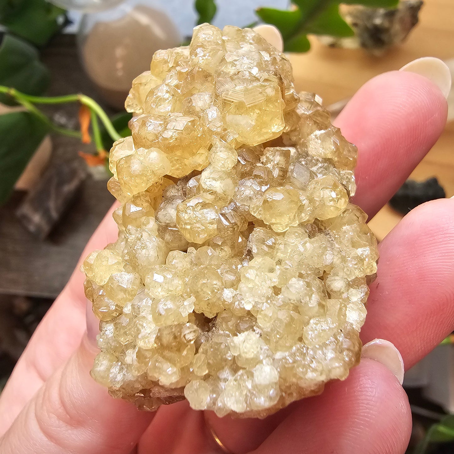 Honey Garnet Cluster, XL Yellow Grossular, Old Stock from Hebei China