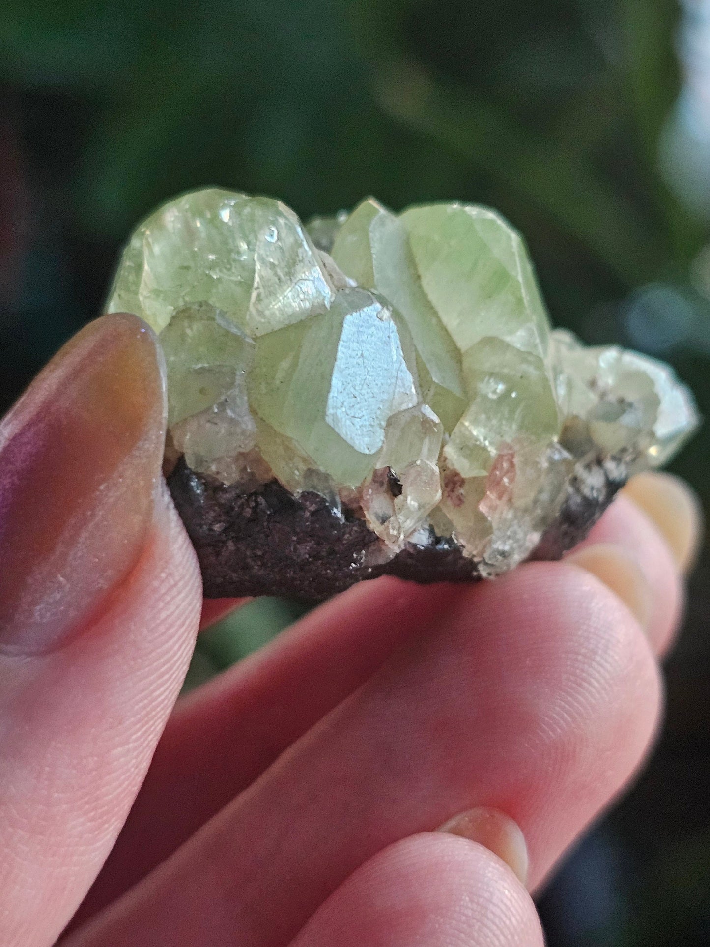 17.5g Diopside Cluster, Raw Rare Mint Green Crystal, Tanzania, Gemmy Diopside Specimen, Old Stock, Collector Gemstone, Lustrous High End Gem